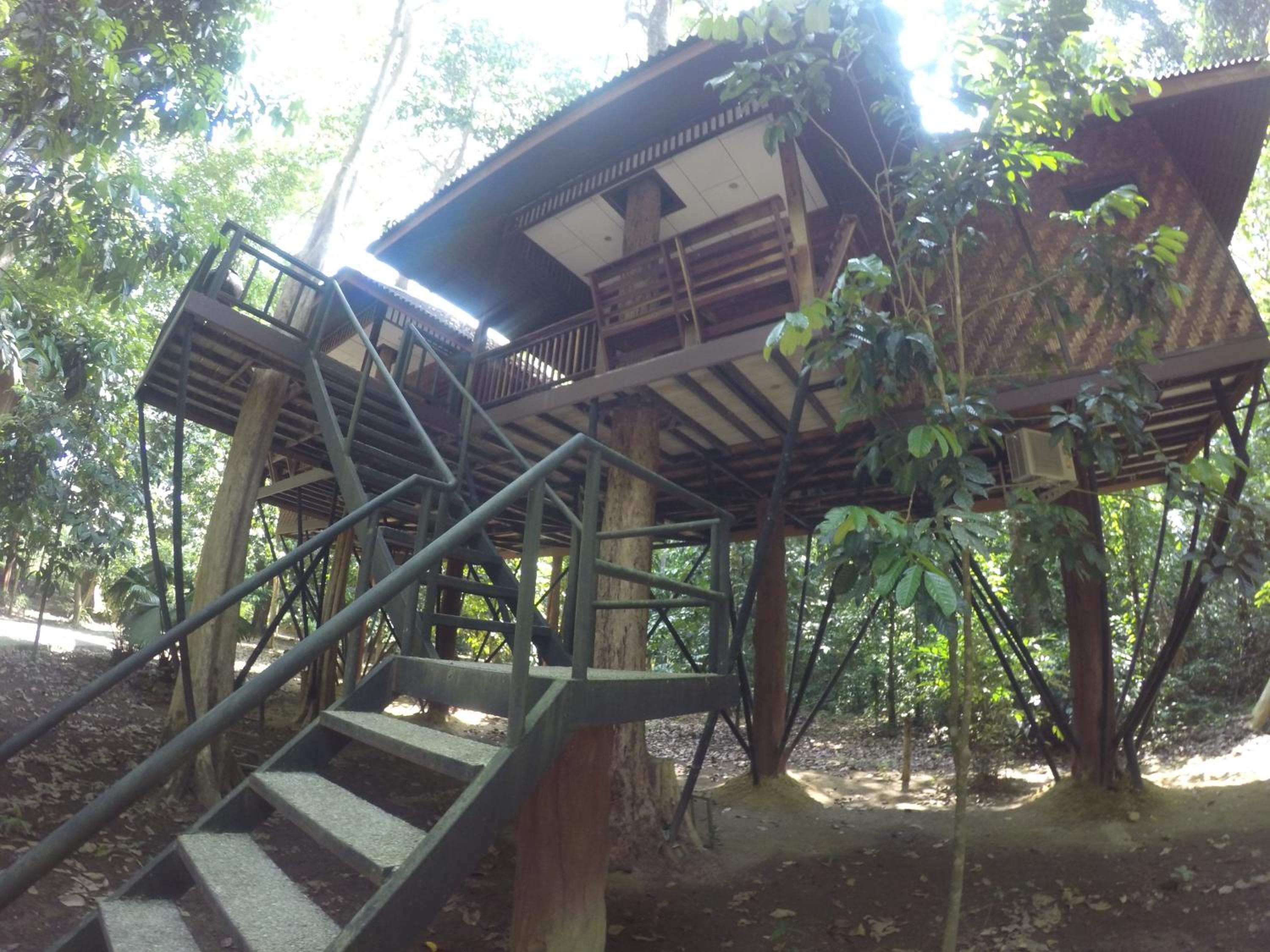 Tree House (4 Adults) photo 2