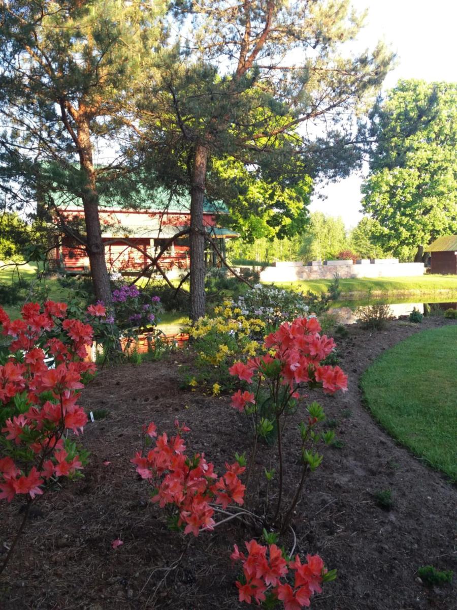 Holiday Home - Photo 4