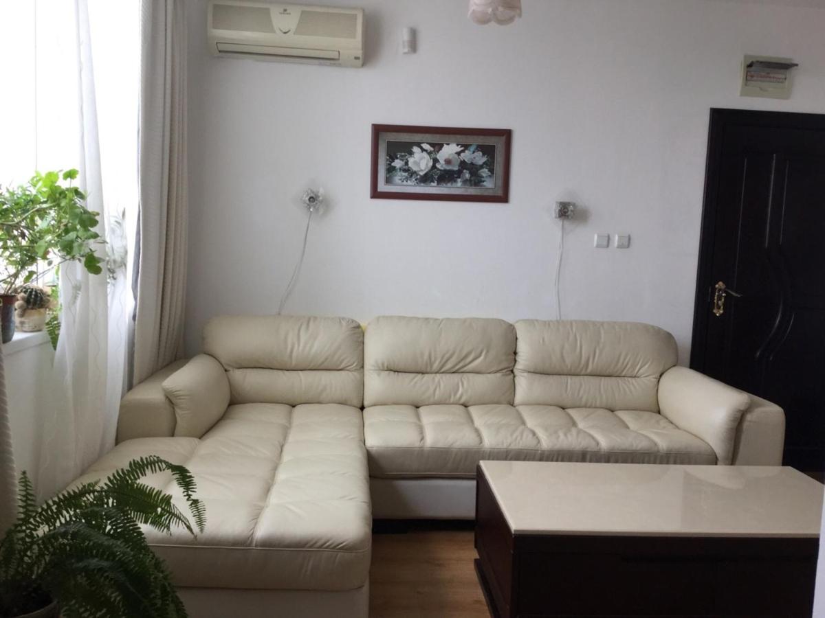Studio Apartment photo 1