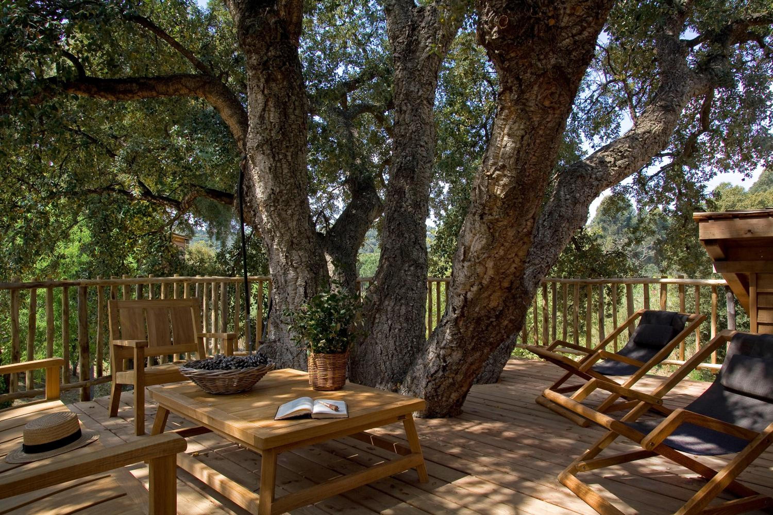 Family Tree House (2 adults + 2 children) - Free Access to Spa and Private Beach photo 3
