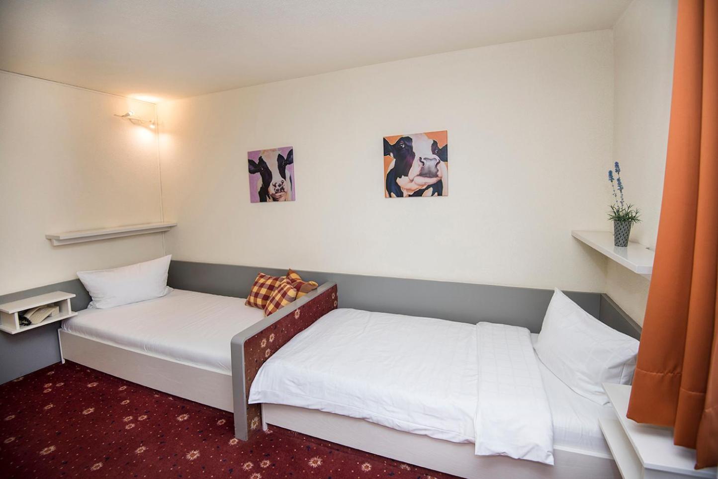 Twin Room photo 2