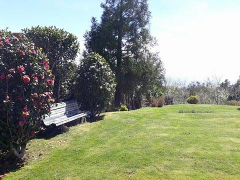 Villa photo 3