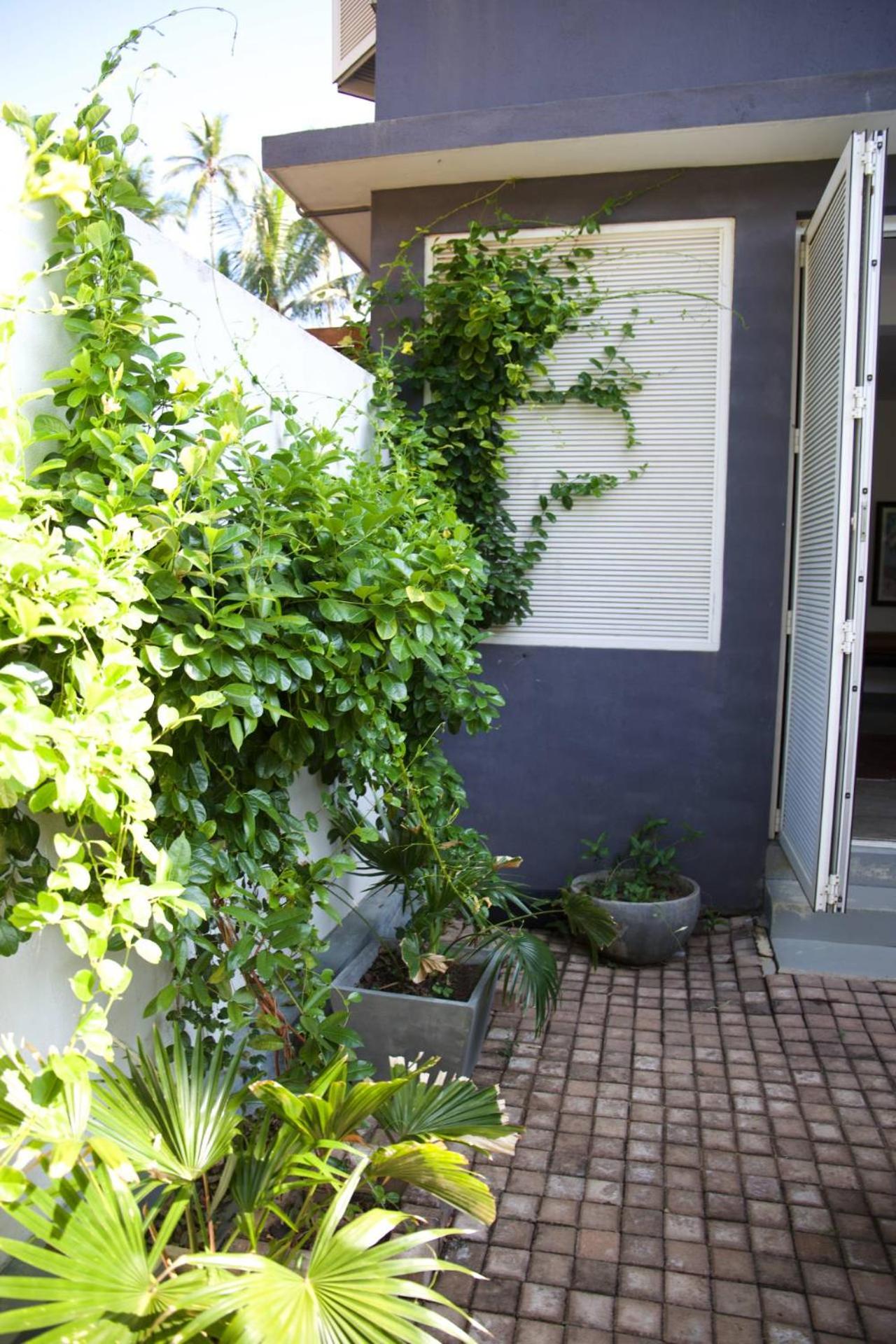Deluxe Courtyard photo 2