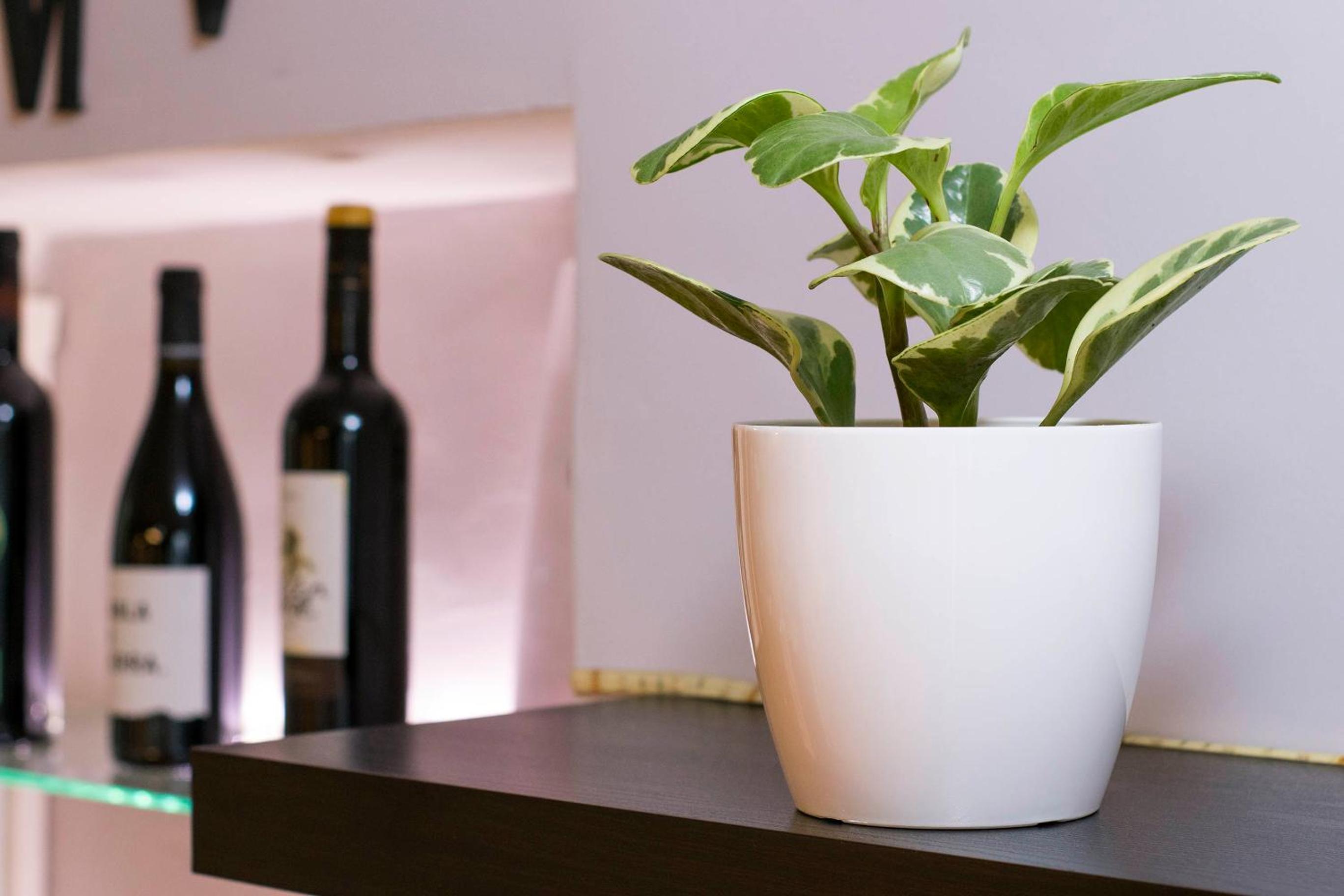 Standard Apartment - Photo 34