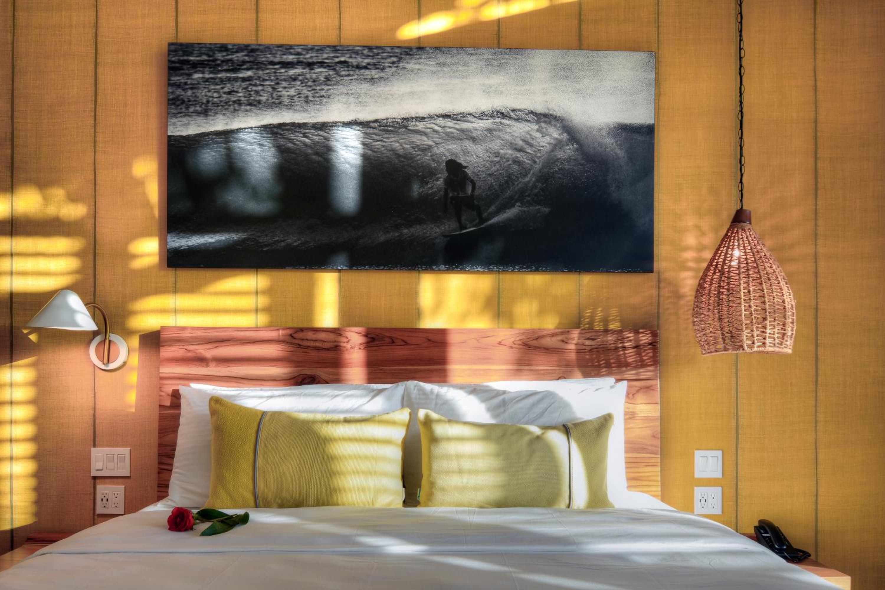 Premium (King Bed) photo 2