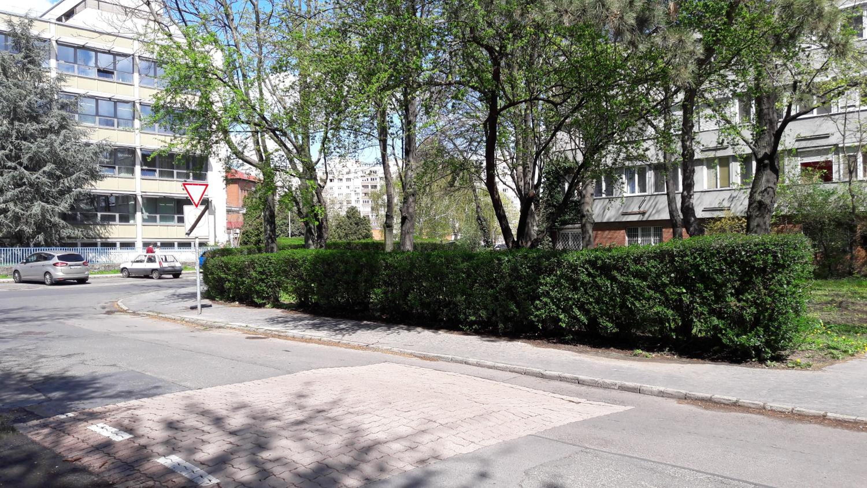 Apartment - Photo 8