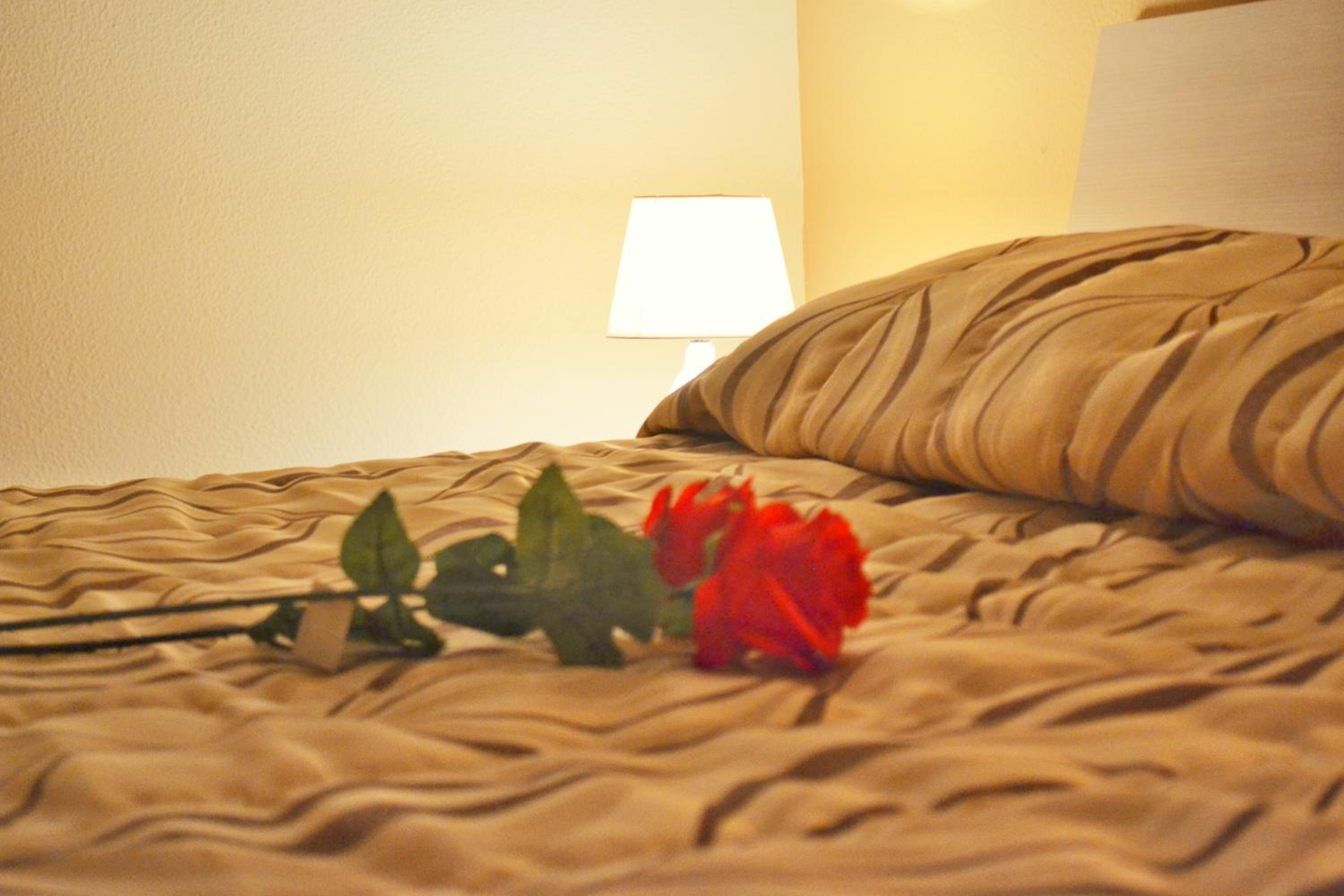 Deluxe Double Room with Extra Bed - Photo 2