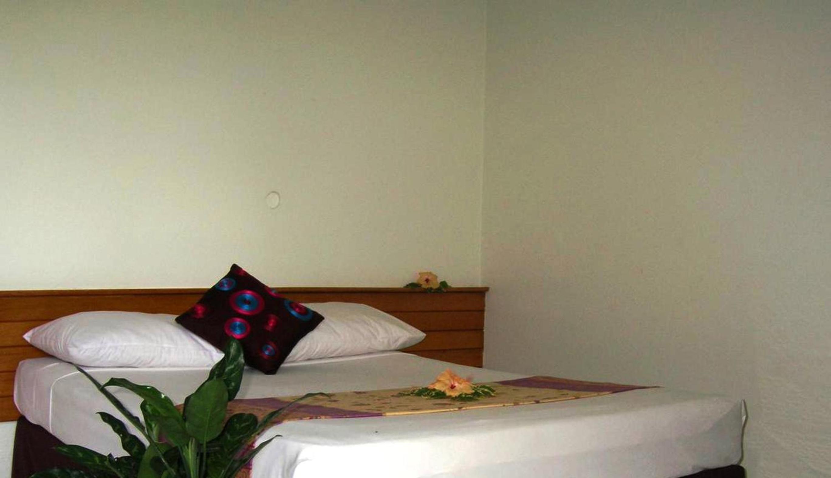 Standard  Room photo 1