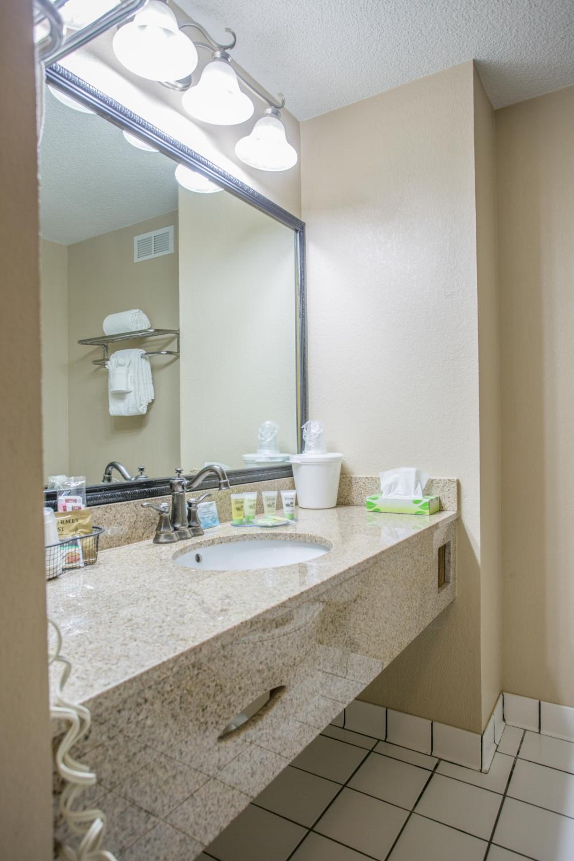 Deluxe King Studio Suite - Non-Smoking - Photo 3