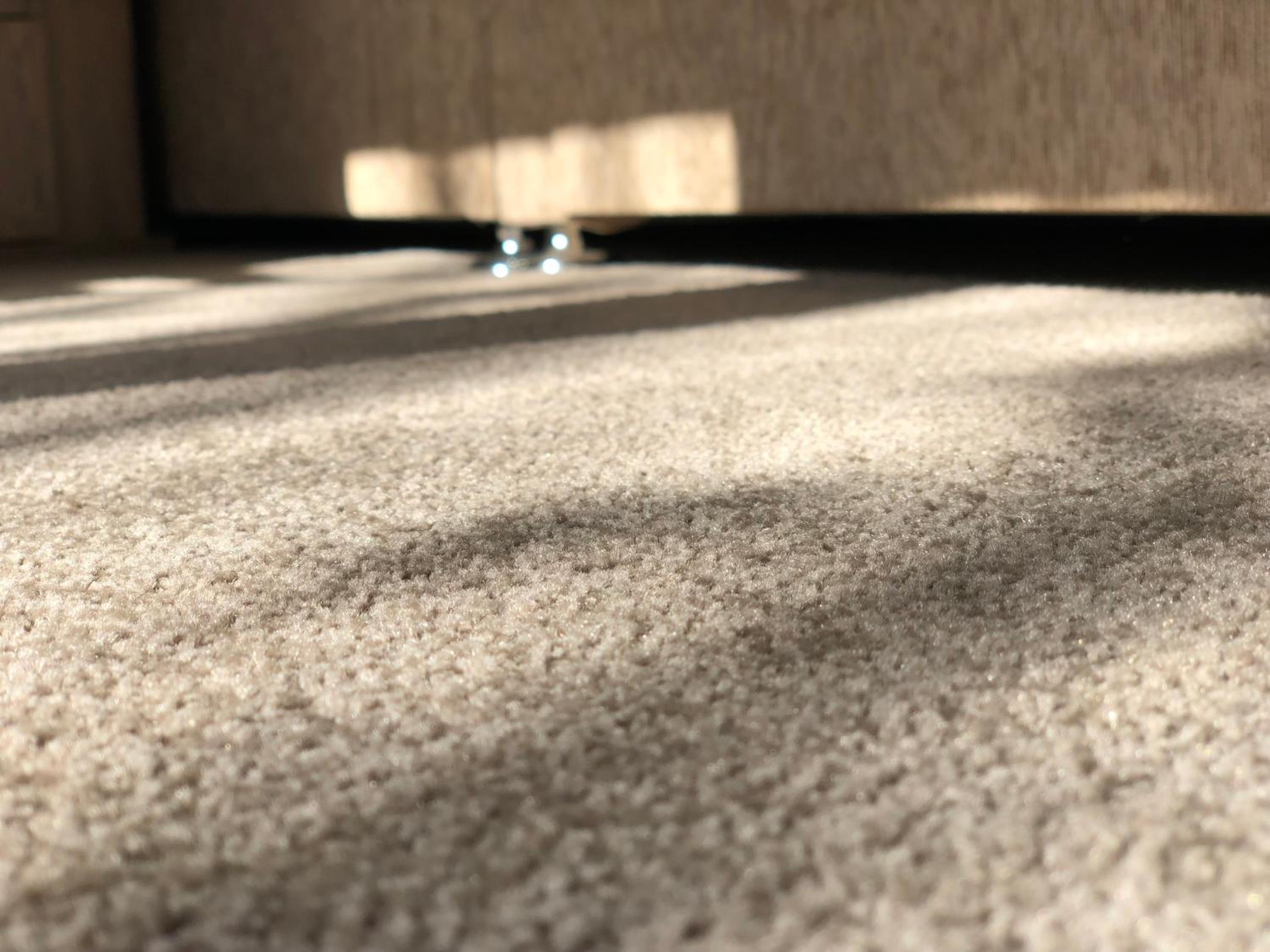 Apartment - Photo 2