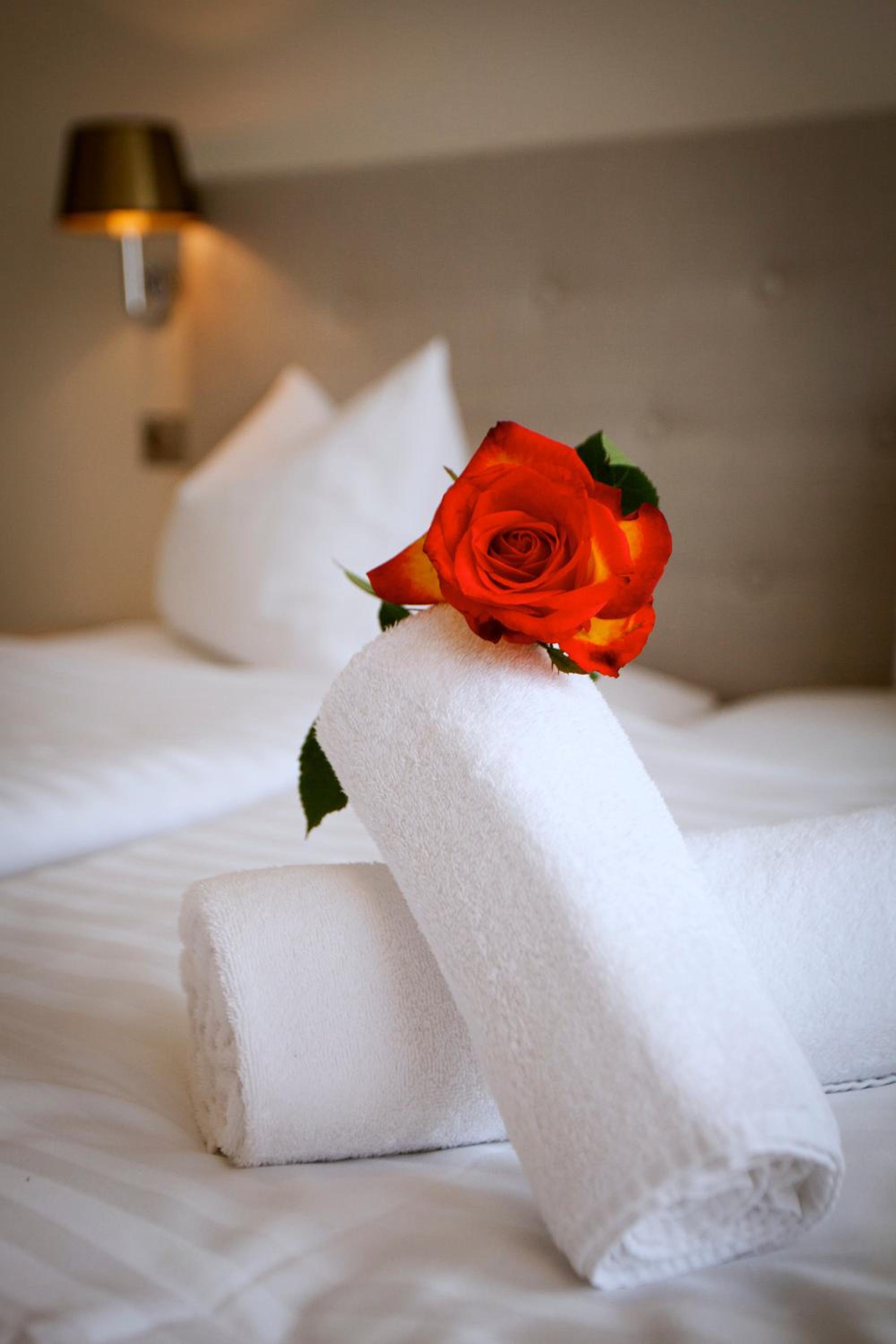 Junior Suite - Photo 7