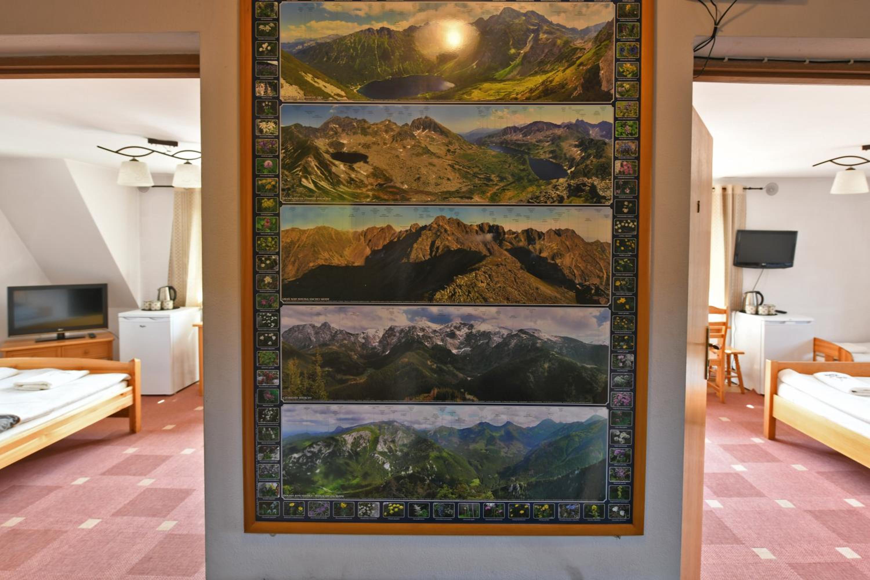 Triple - Photo 9