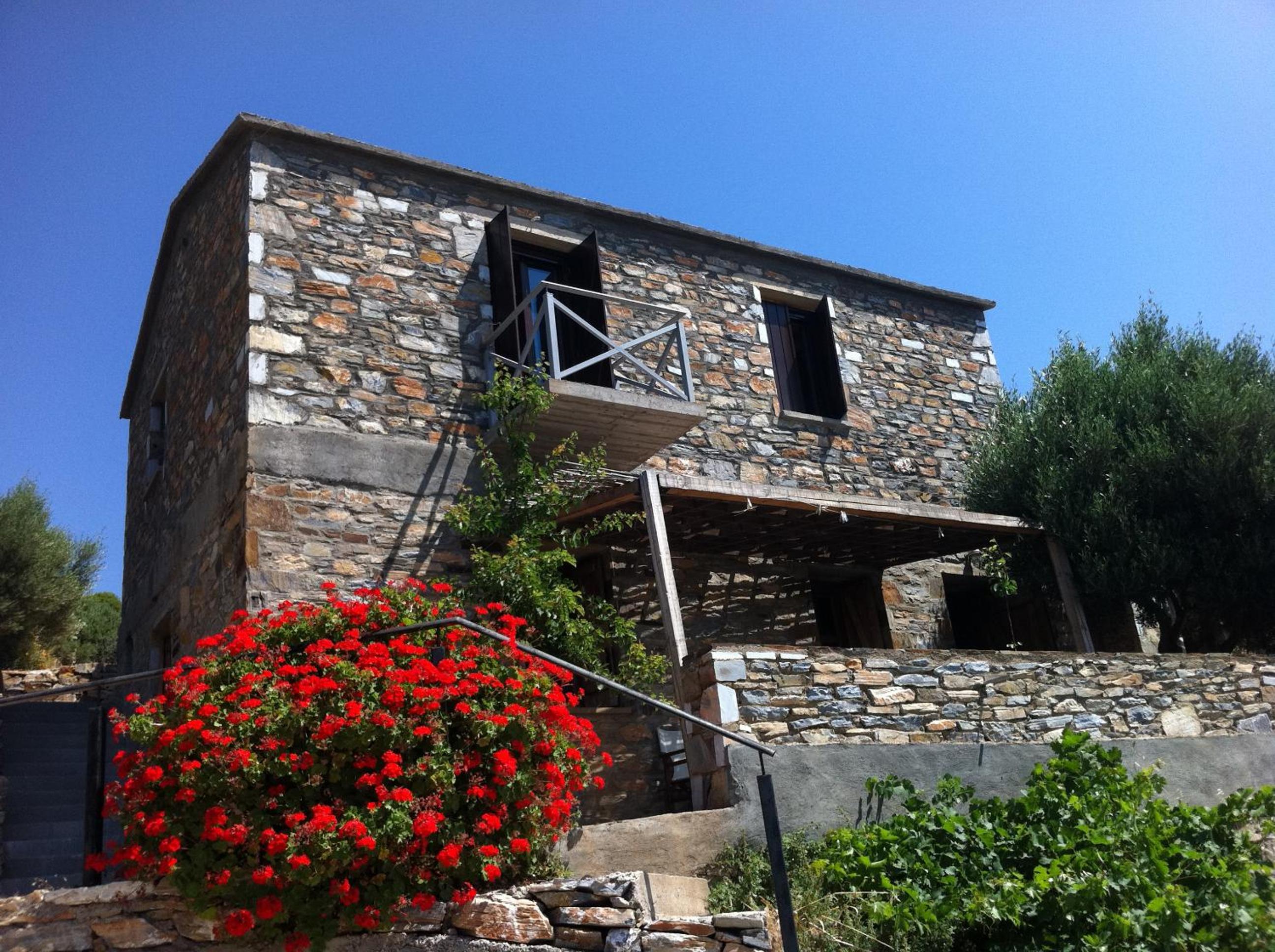 Deluxe Villa photo 1