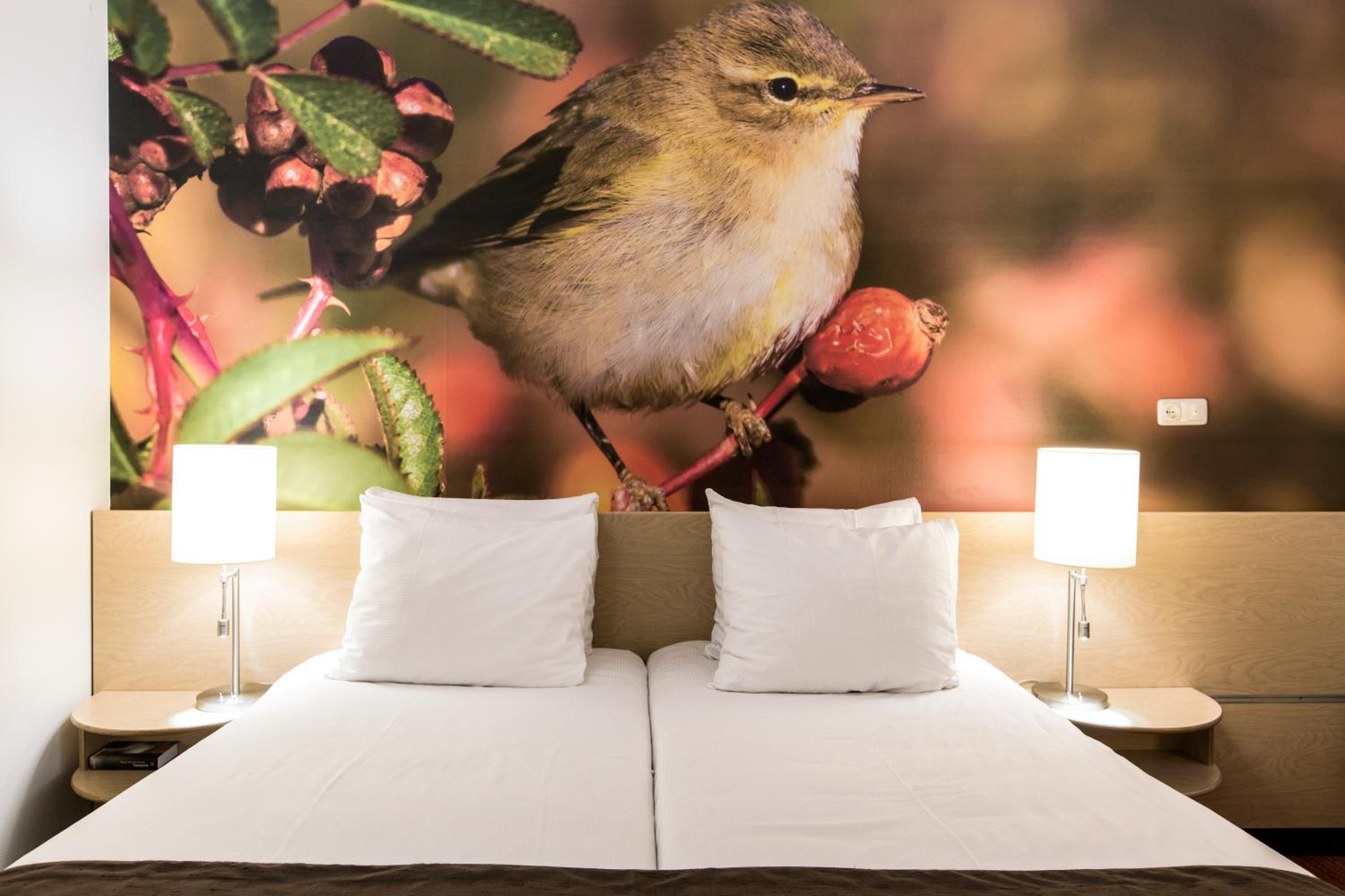 Double Room with Terrace - Photo 1