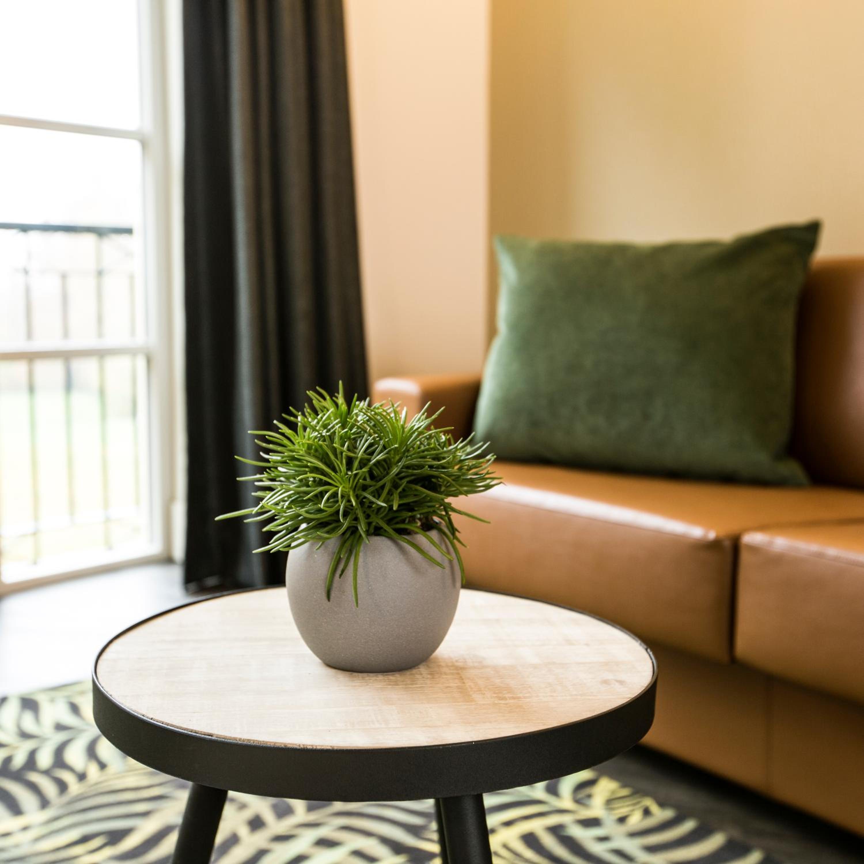 Executive Suite - Photo 4