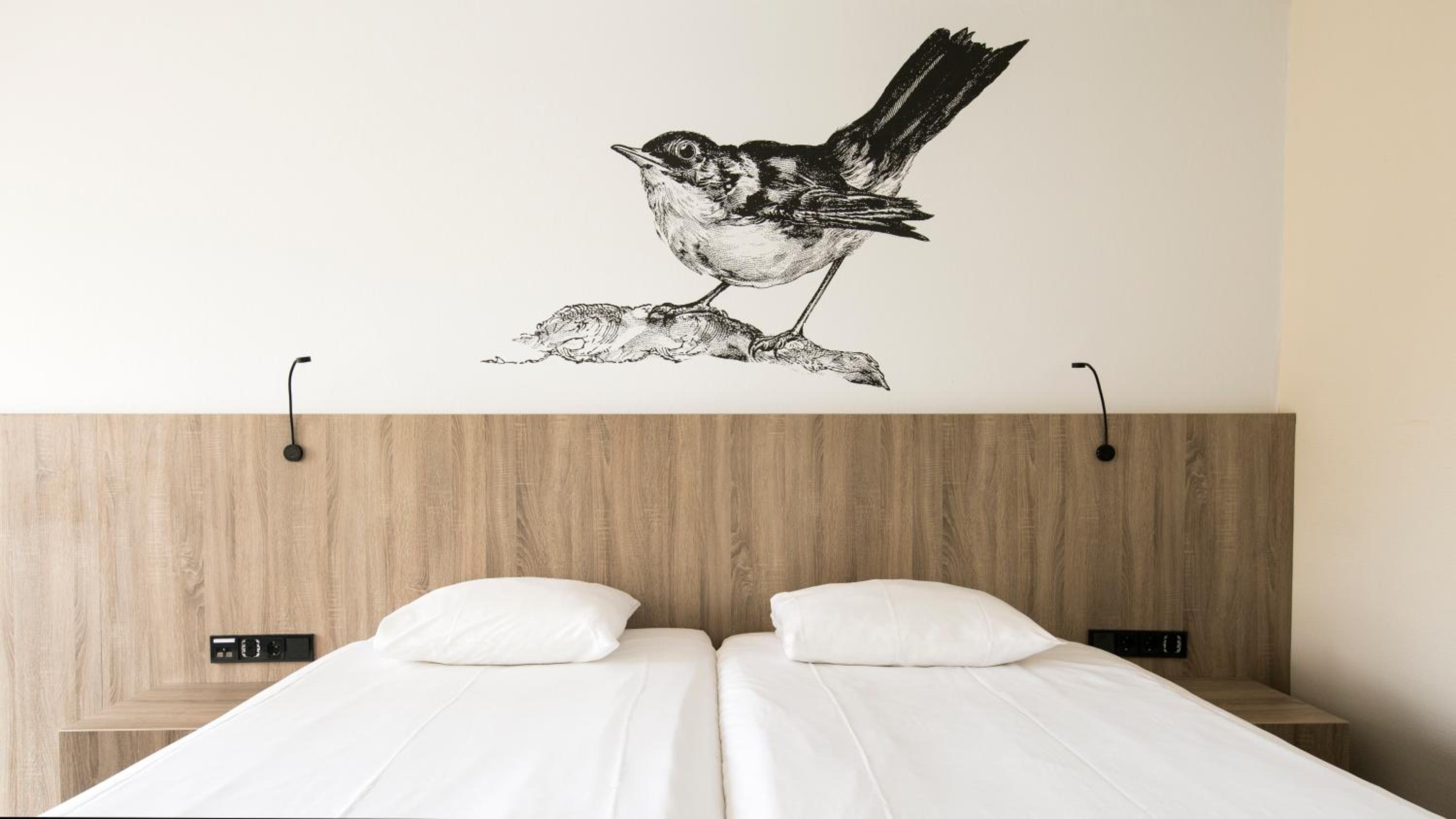 Double Room - Disability Access - Photo 1