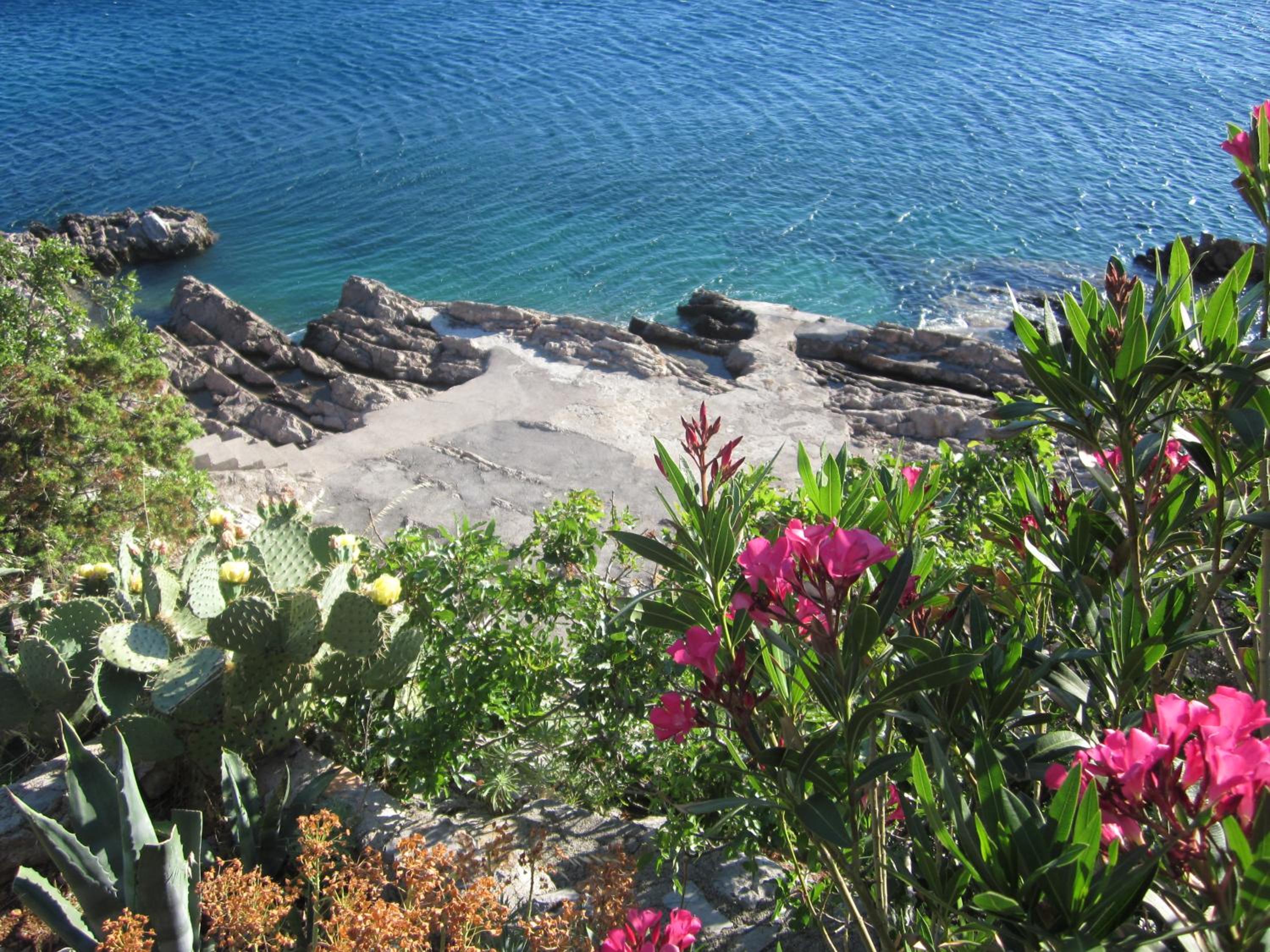 Studio with Terrace and Sea View photo 3