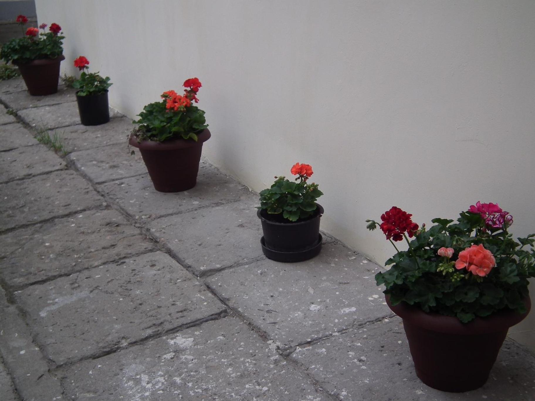 Standard Apartment - Photo 9