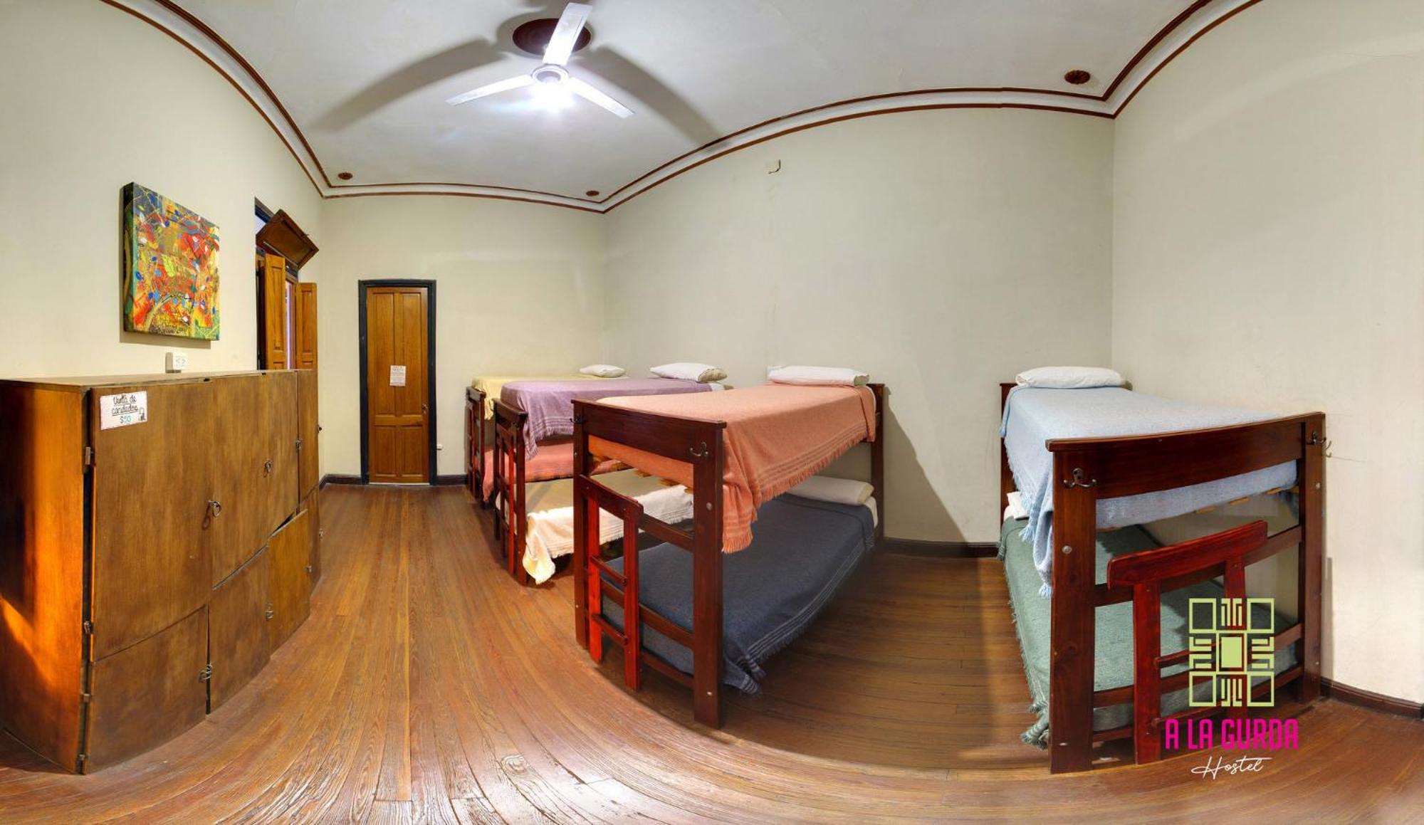 Single Bed in Mixed Dormitory Room photo 1