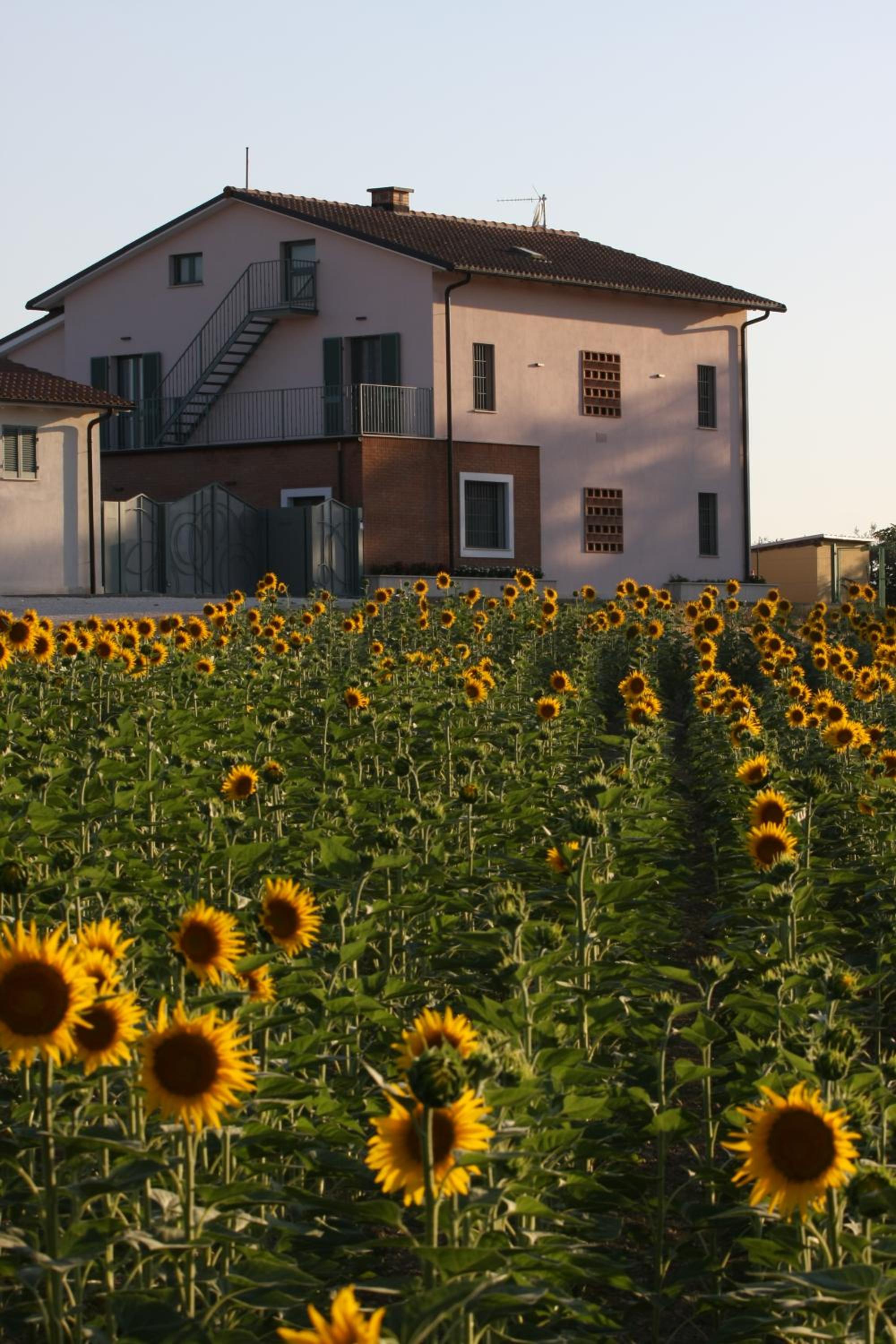 Vacation Home photo 2