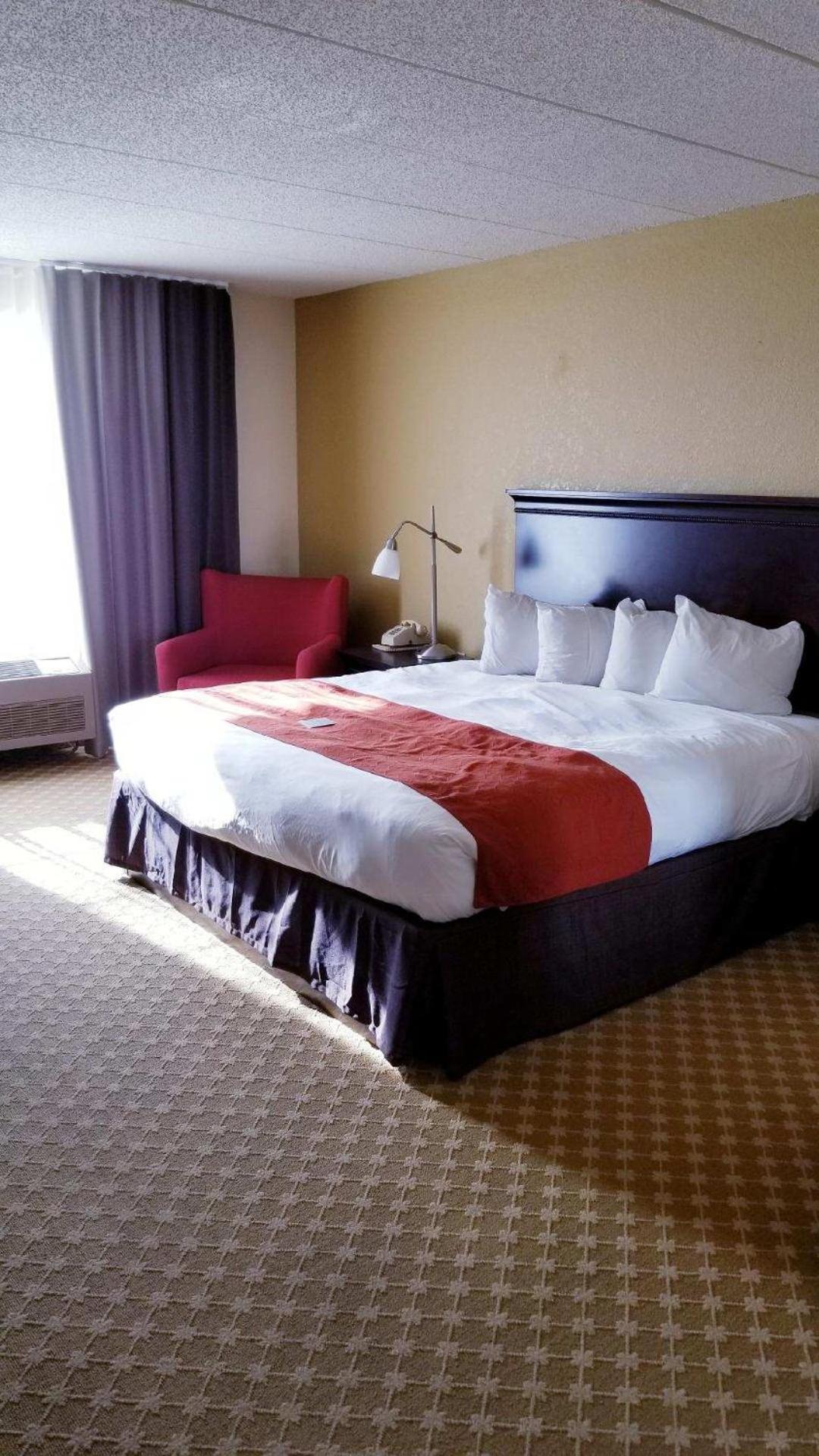 King Room - Disability Access - Photo 2