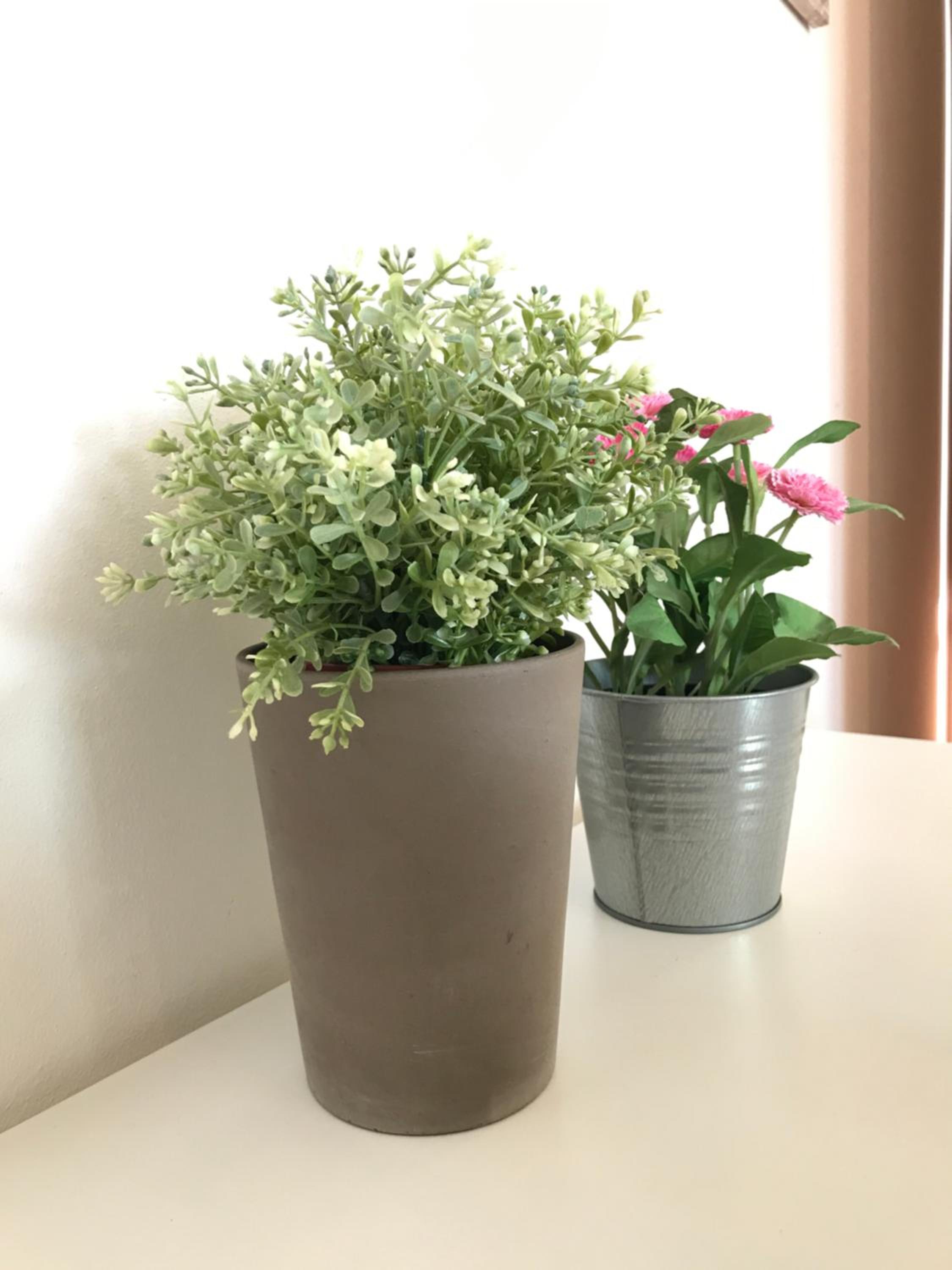 Apartment with Garden View - Photo 15