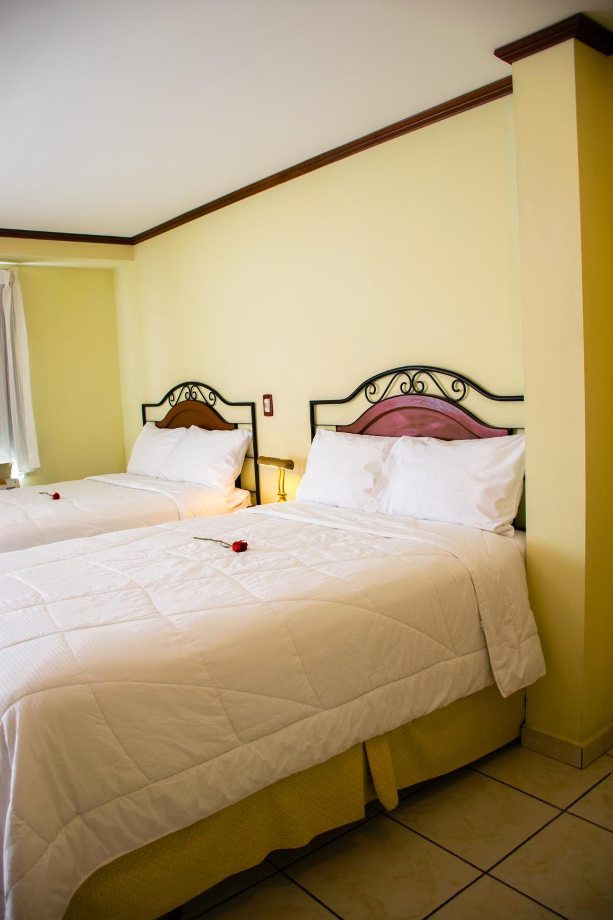 One-Bedroom Suite photo 3