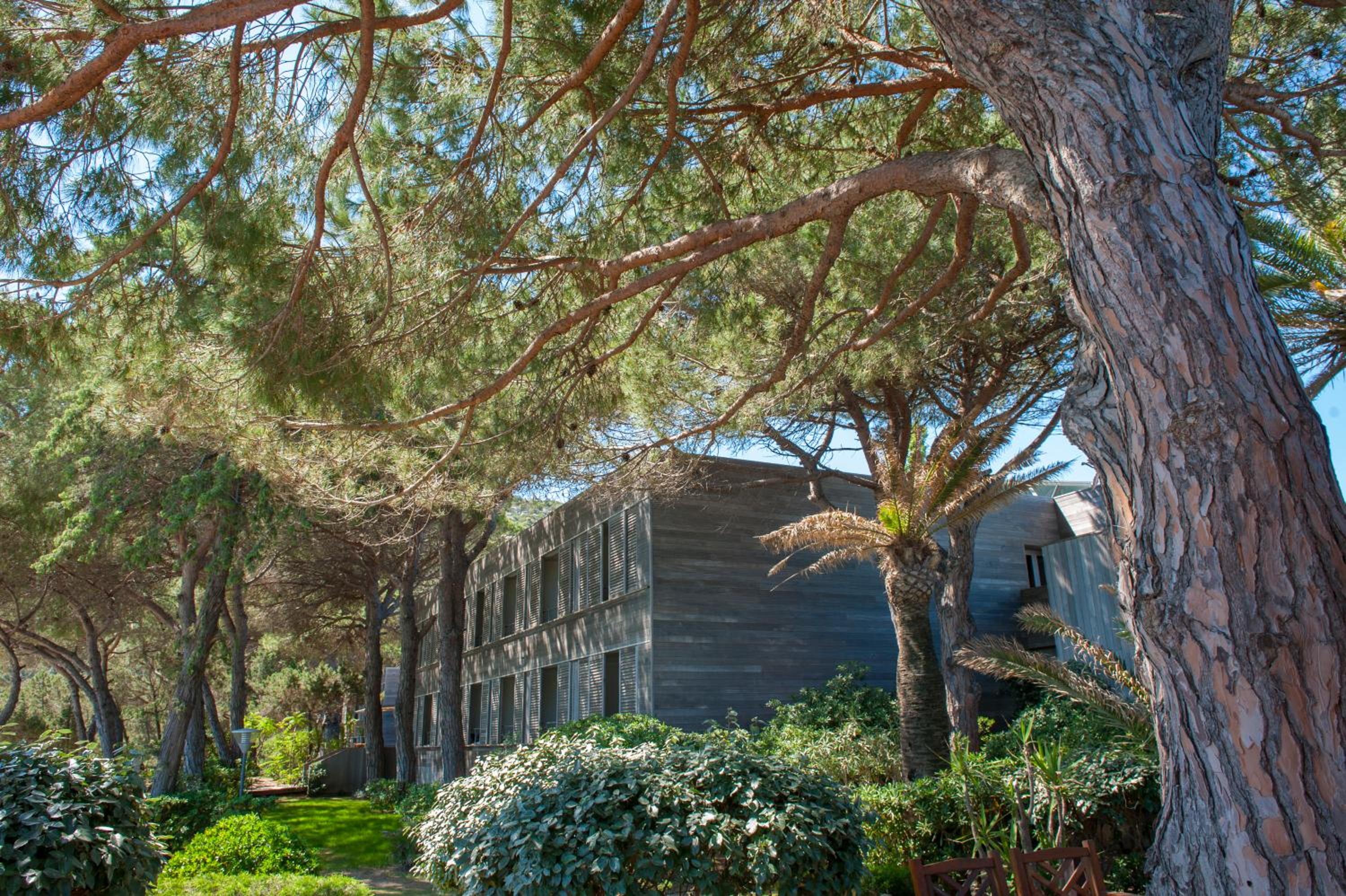 Standard Room - Lagoon side  - Photo 5