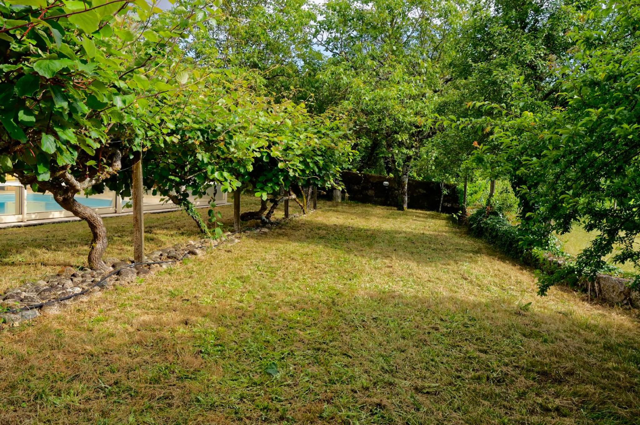 Three-Bedroom Villa - Photo 11