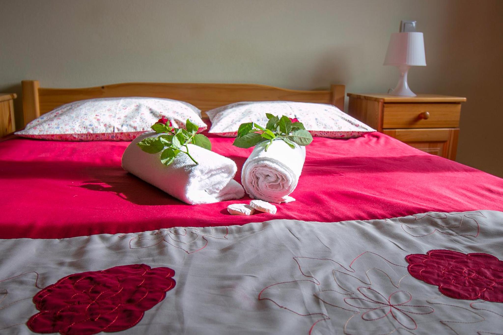 Double Room photo 1