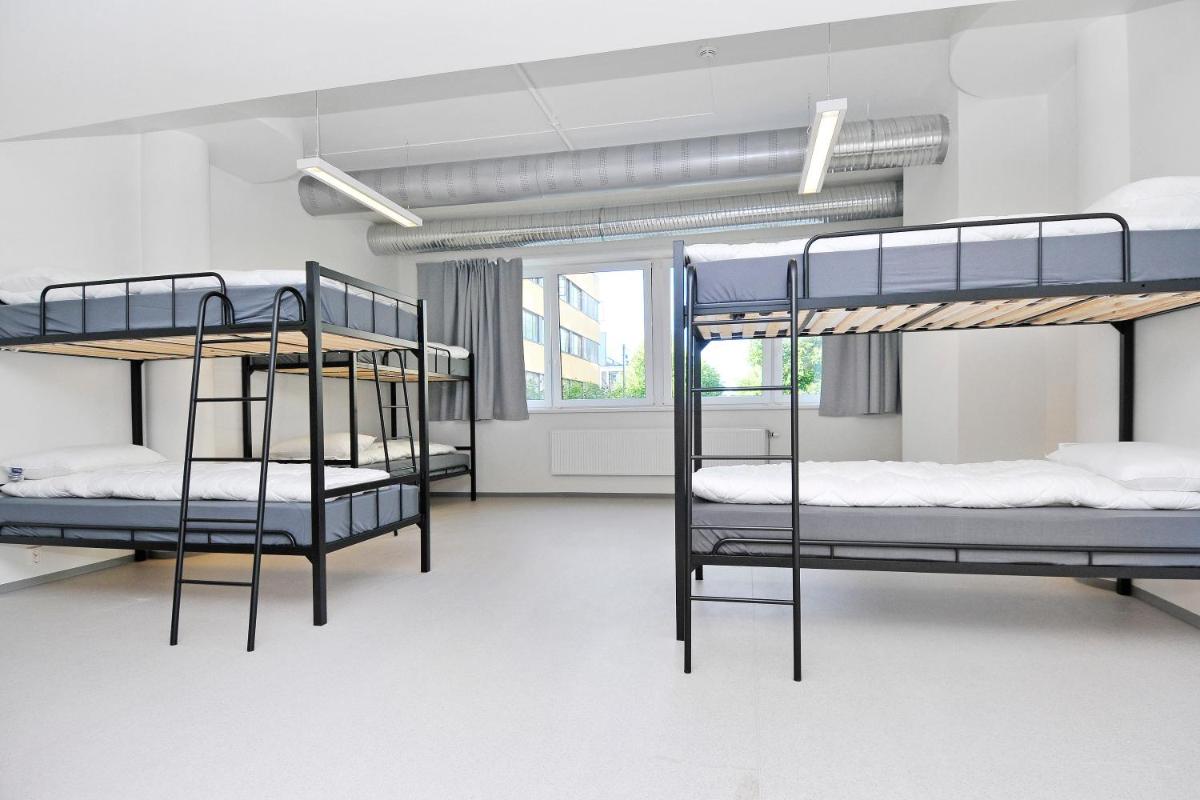 Bunk Bed in Mixed Dormitory Room photo 1