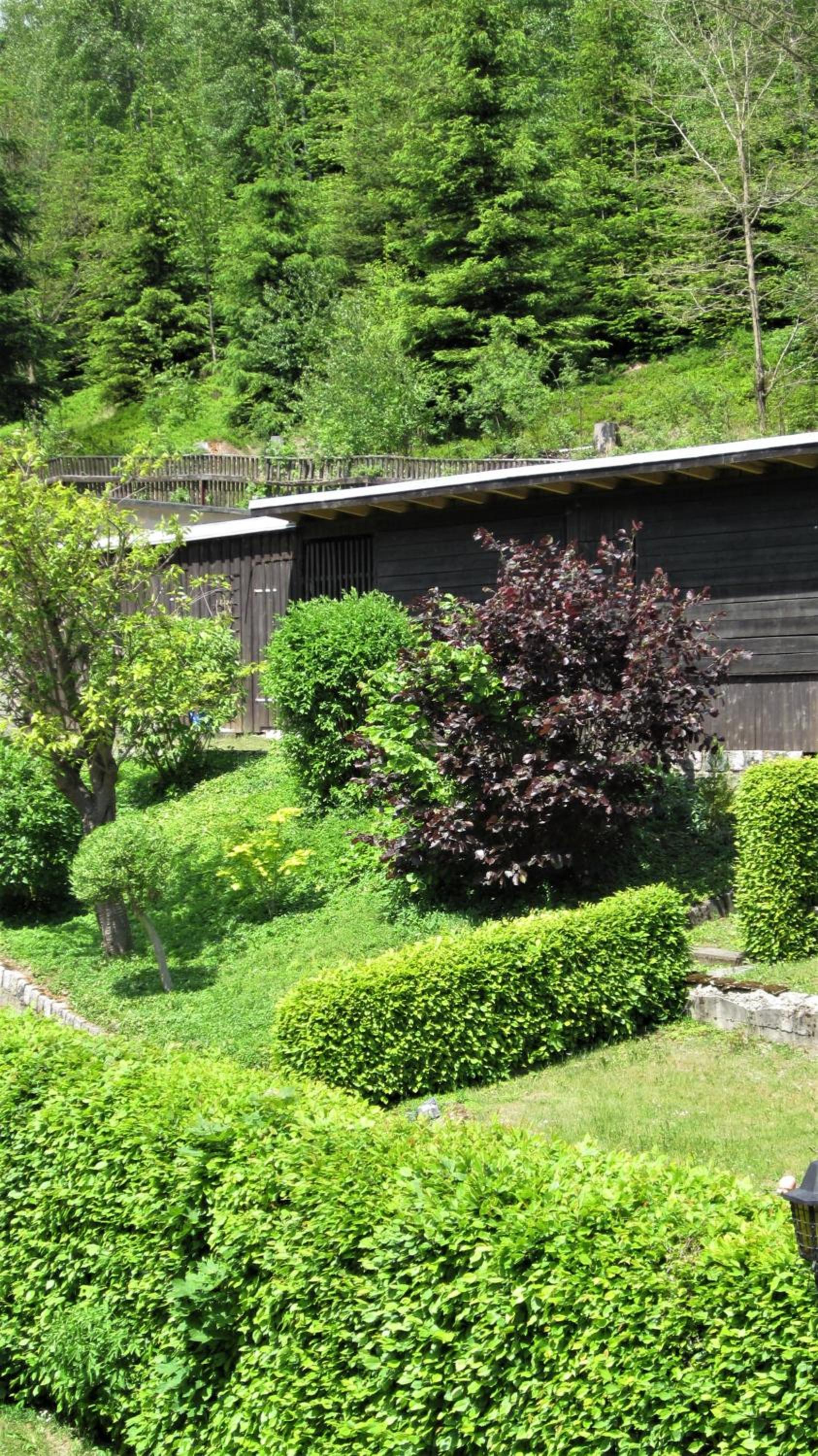 Superior Twin Room with Garden View photo 3