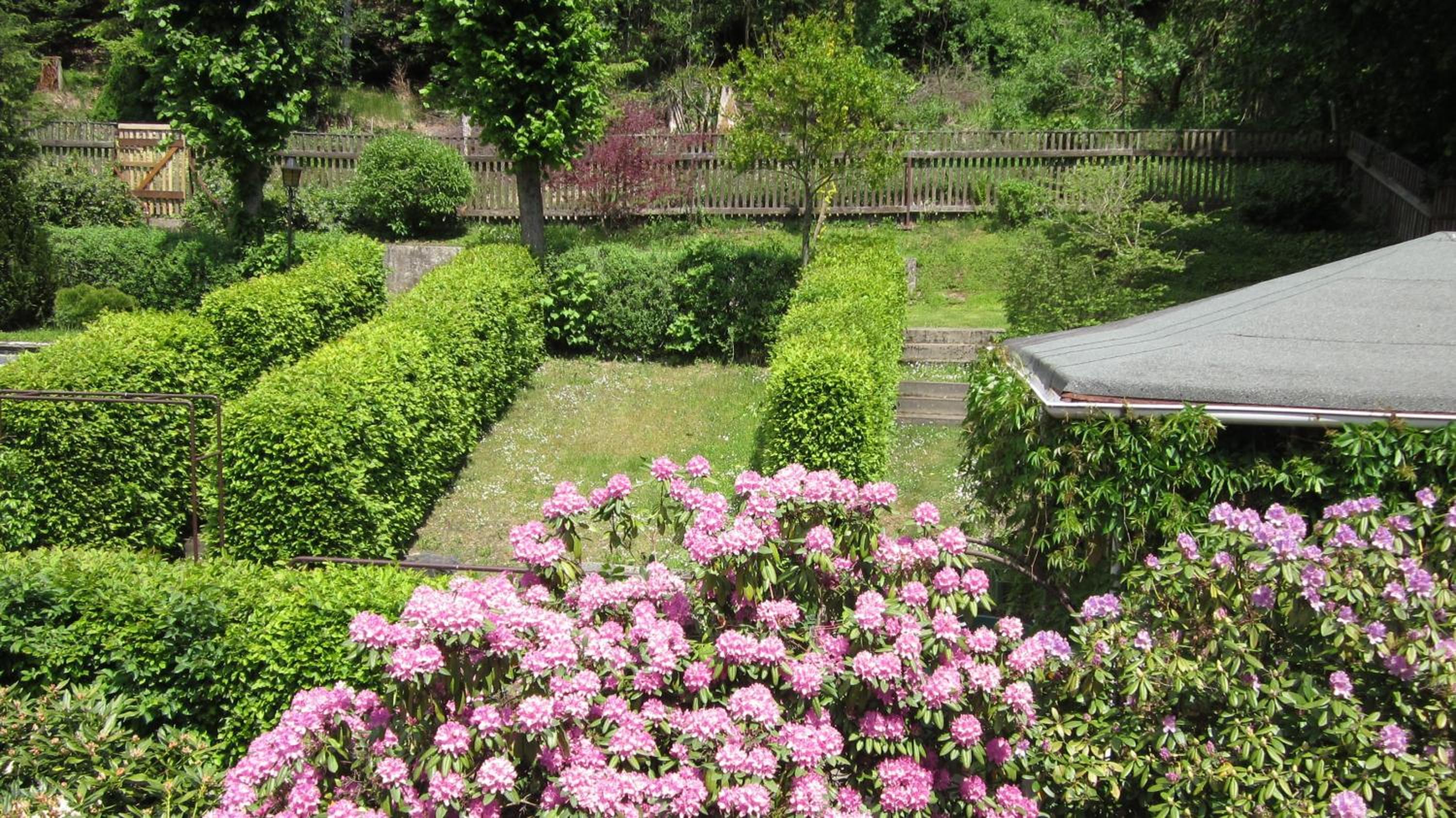 Double Room with Garden View photo 3
