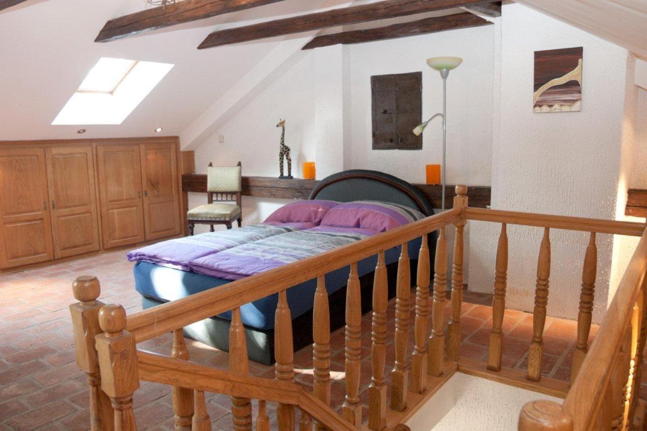 Large One-Bedroom Apartment photo 1