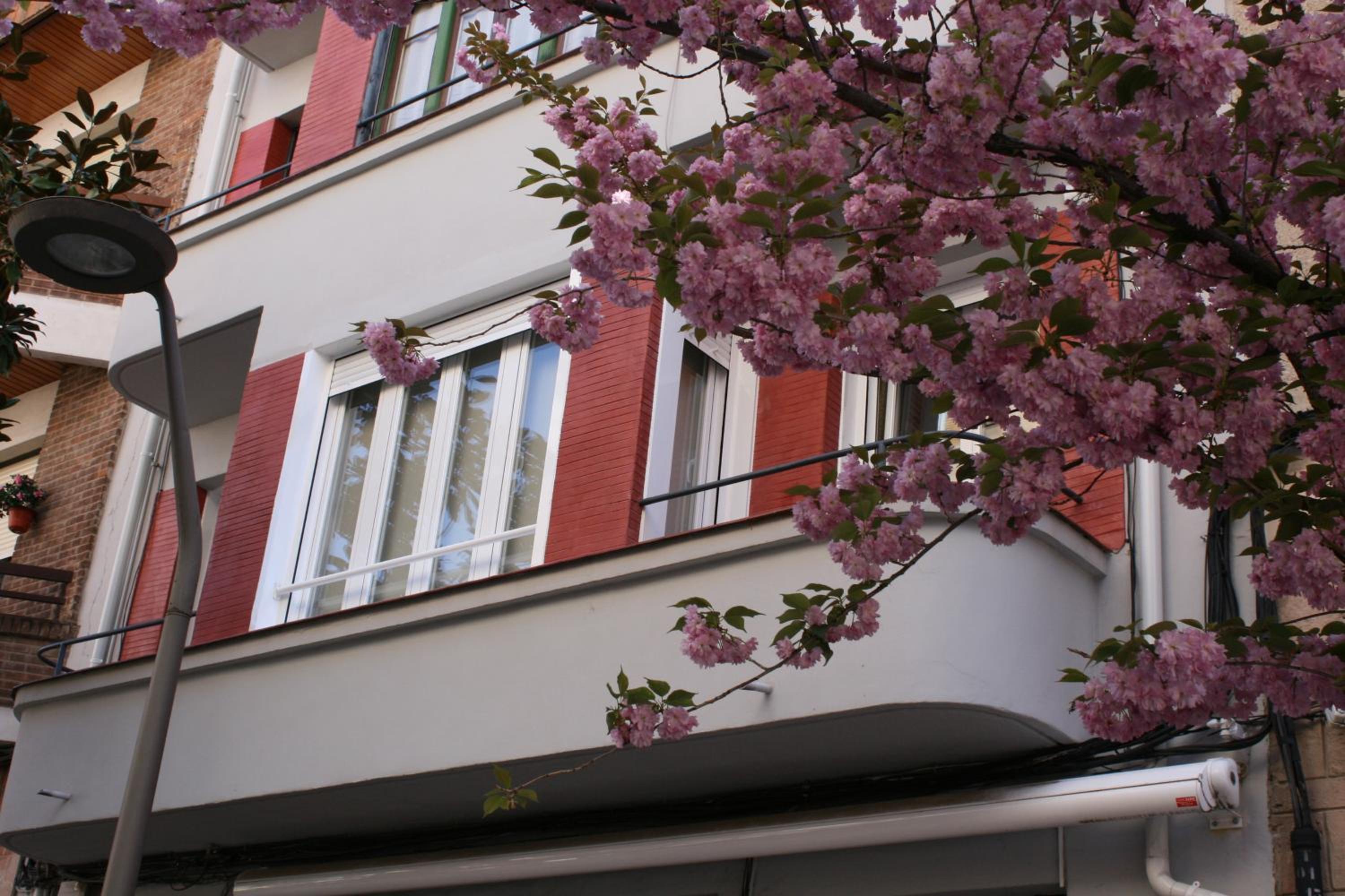 Superior Apartment - Photo 16