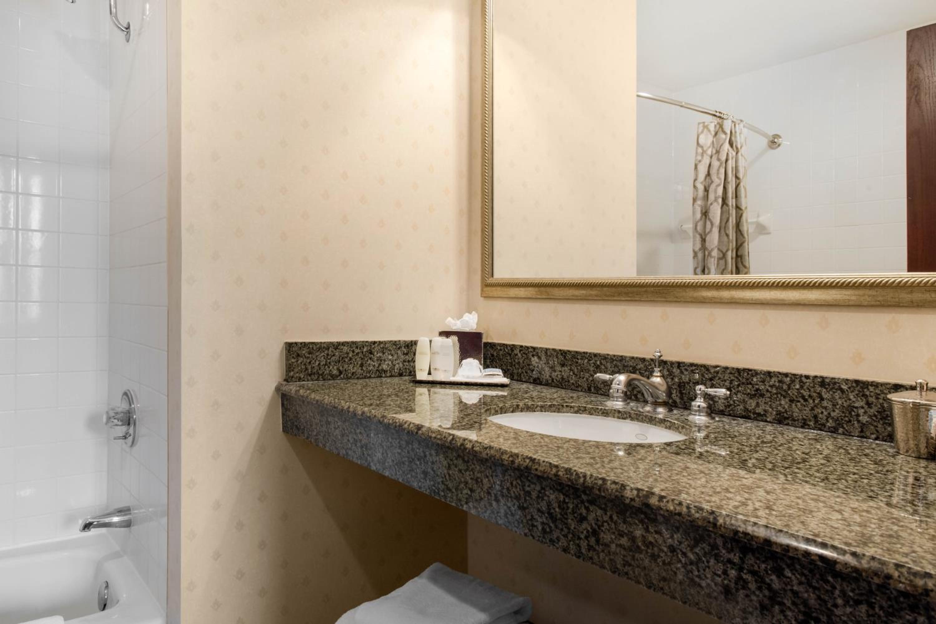 Deluxe King Room - Photo 8