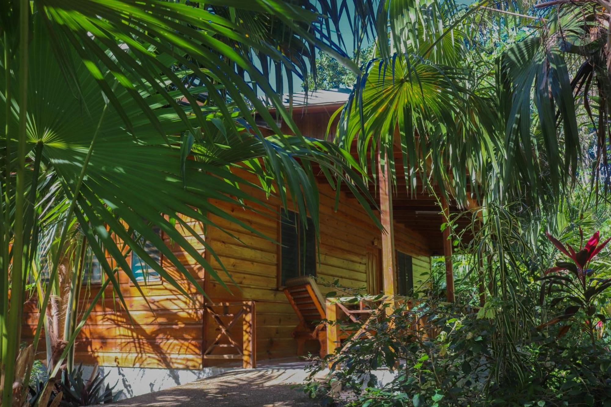Deluxe Bungalow photo 2