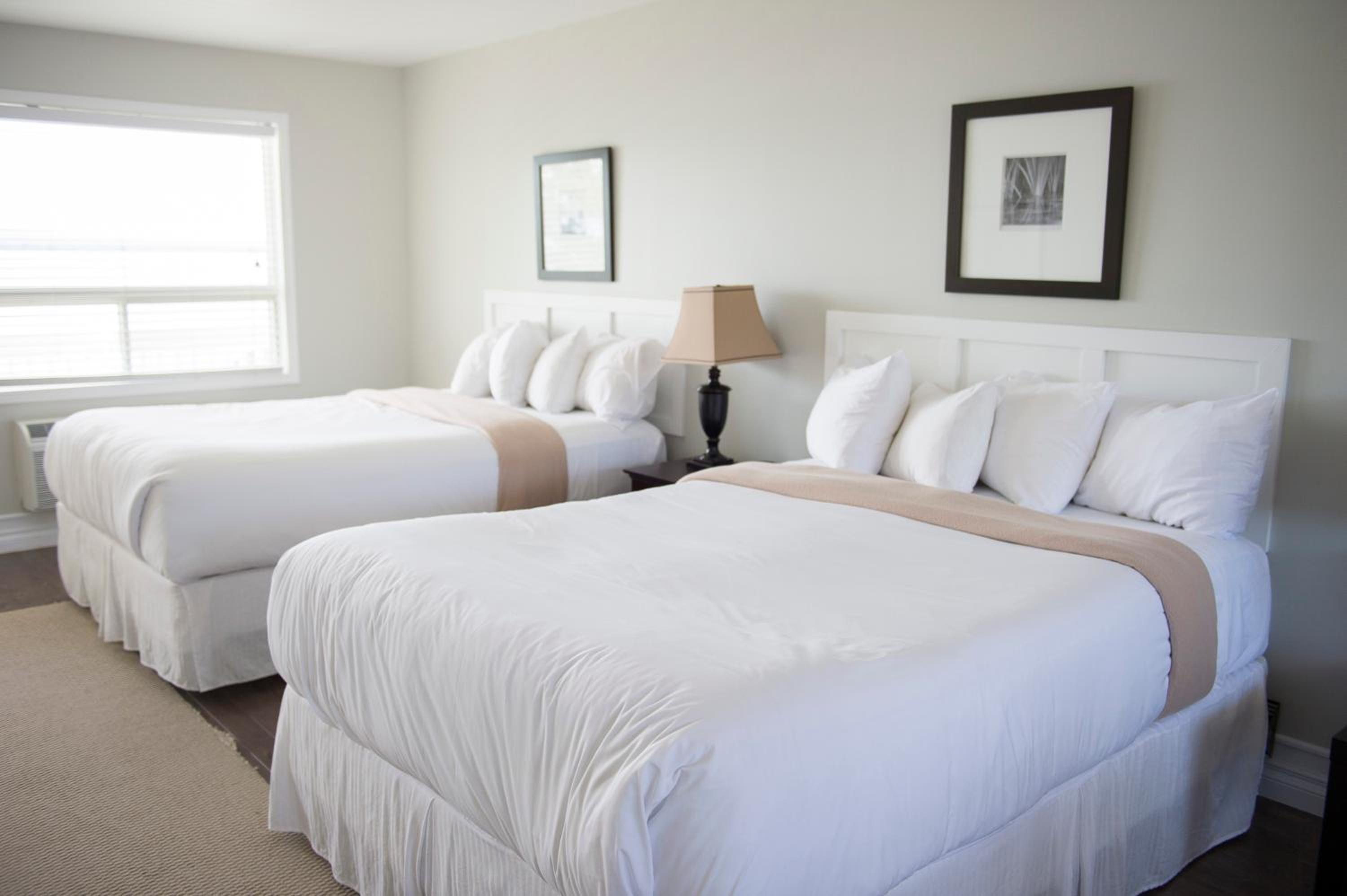 Standard Queen Room photo 1
