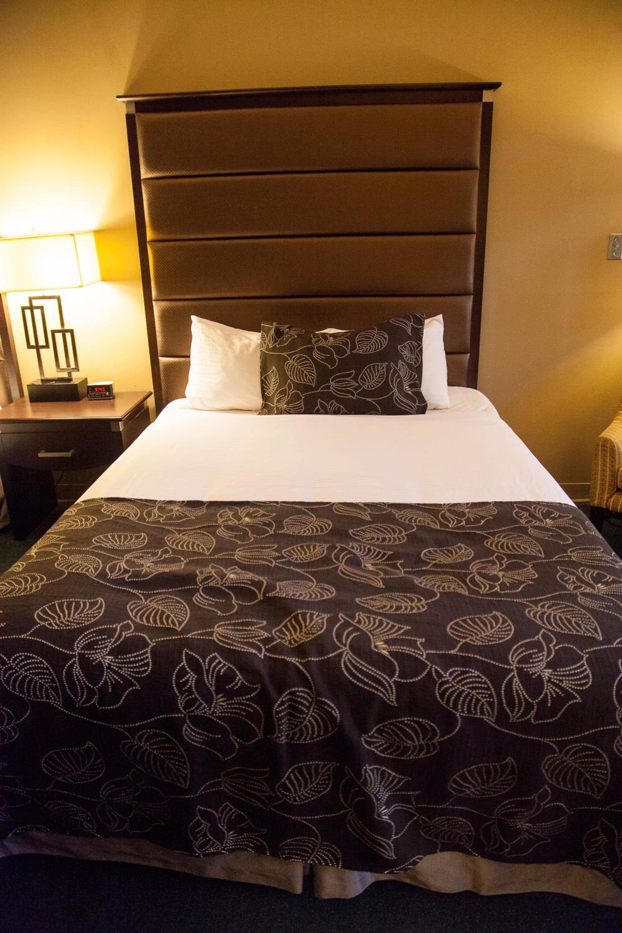 Deluxe Queen Room with Two Queen Beds and Pool View - Non-Smoking - Photo 7