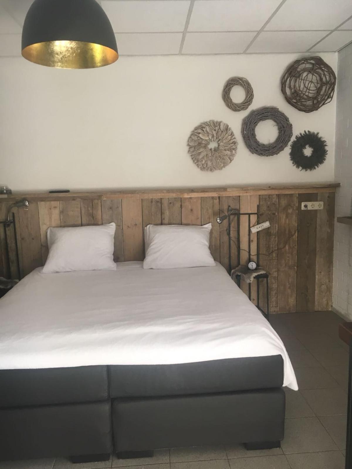 King Room photo 1