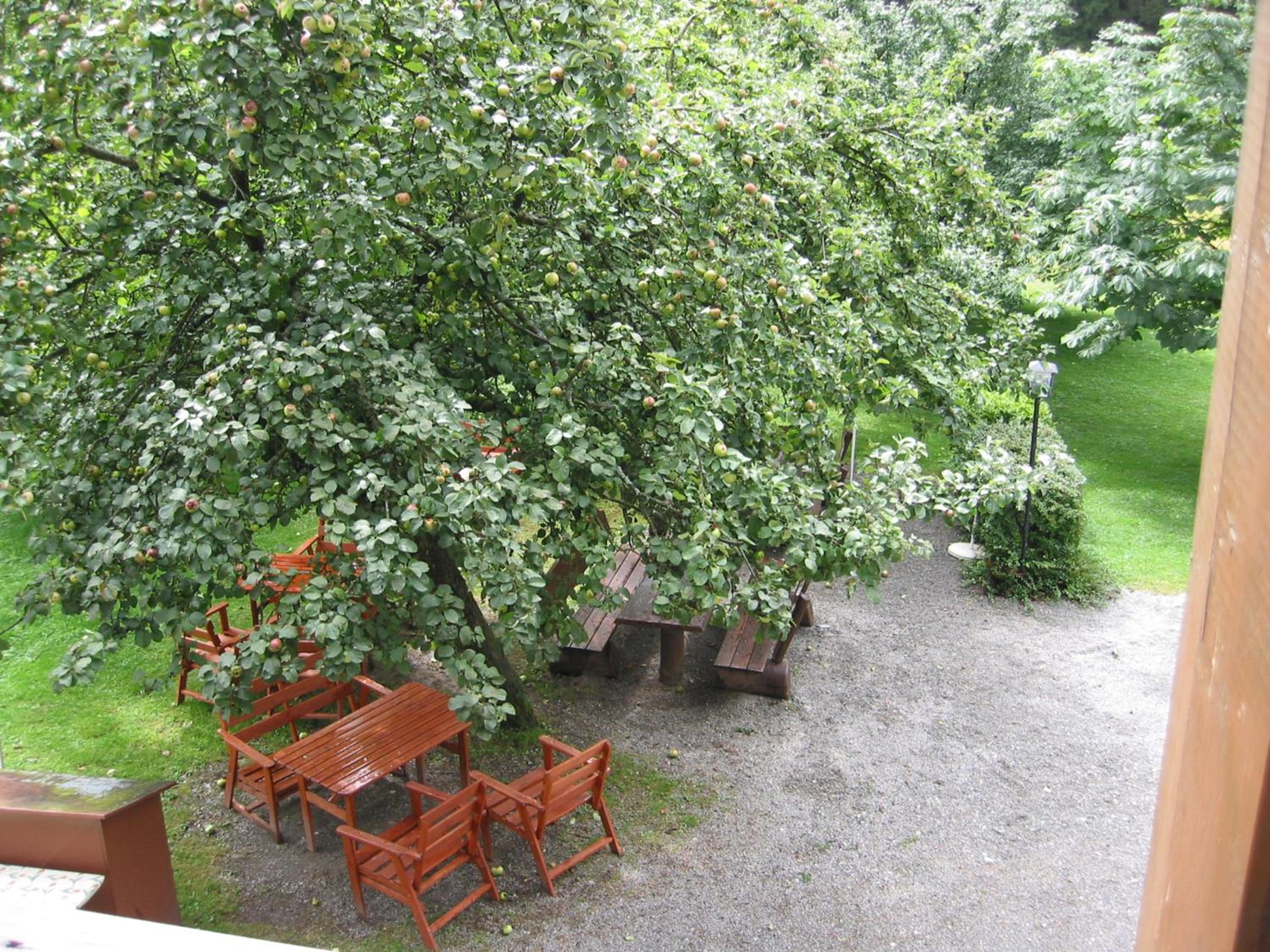 Double Room - Photo 8