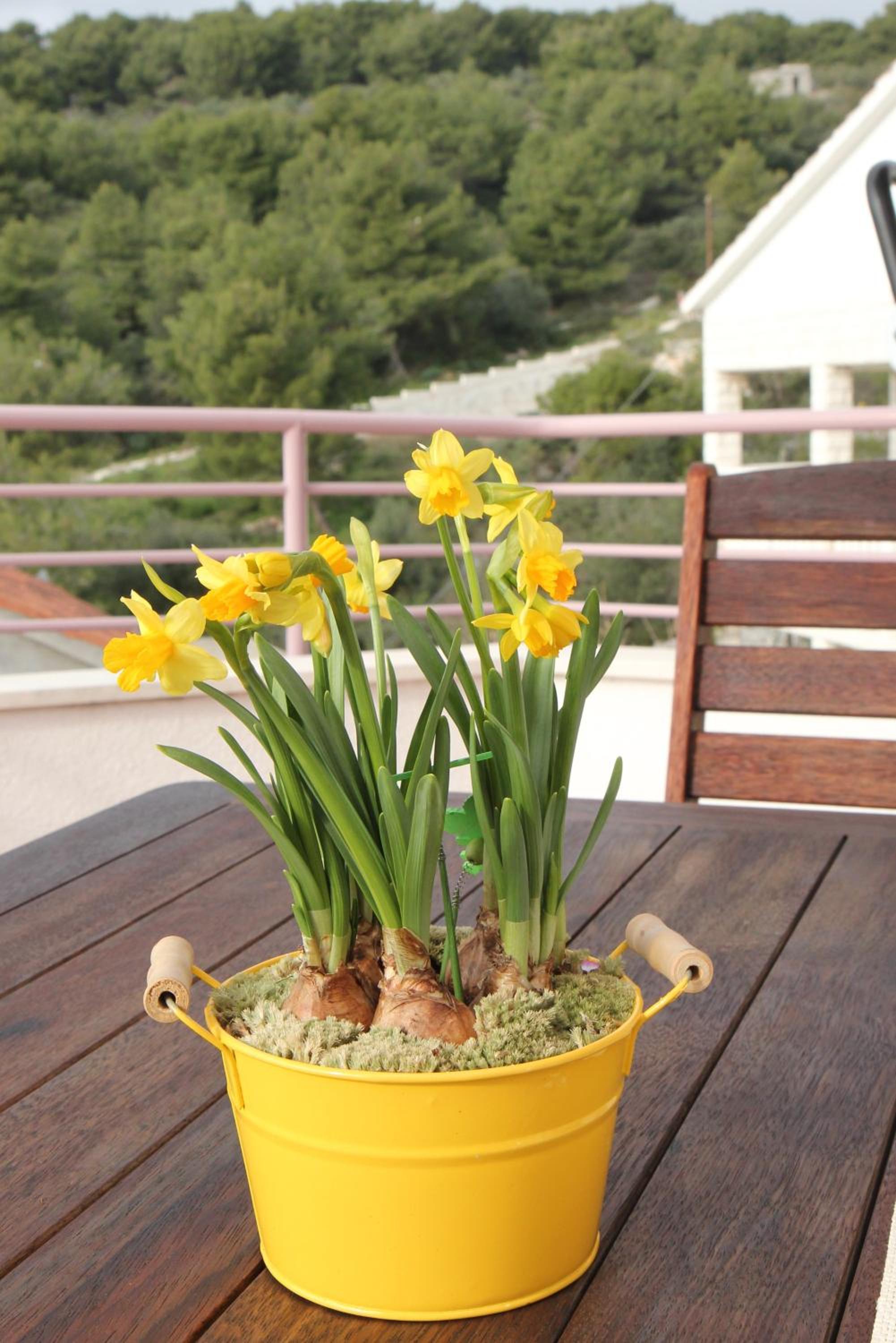 Superior One-Bedroom Apartment with Balcony and Sea View (3 Adults)