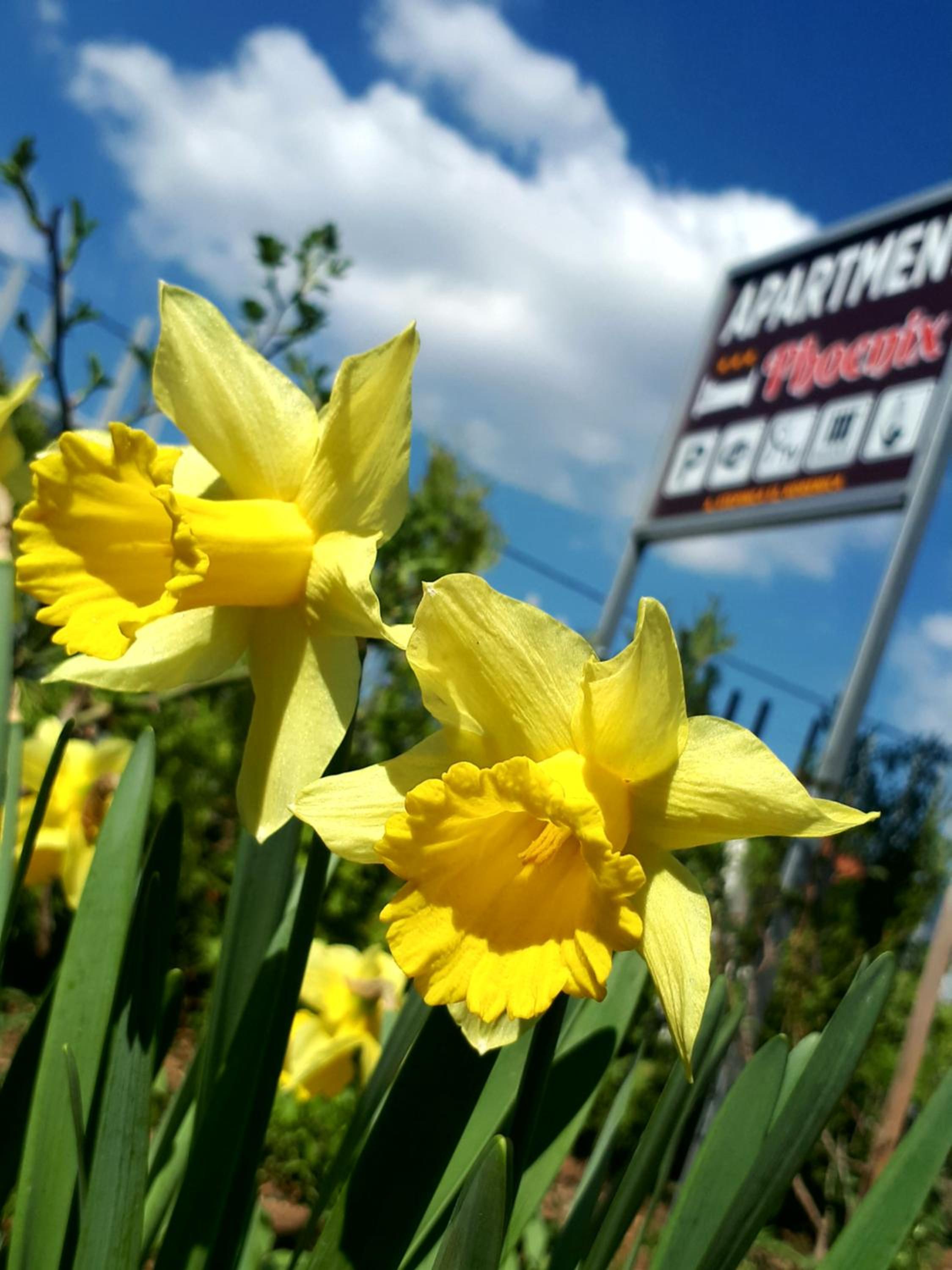 Two-Bedroom Apartment - Photo 20