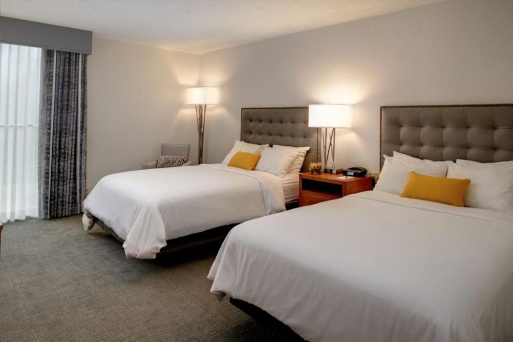 Double Room with Two Double Beds