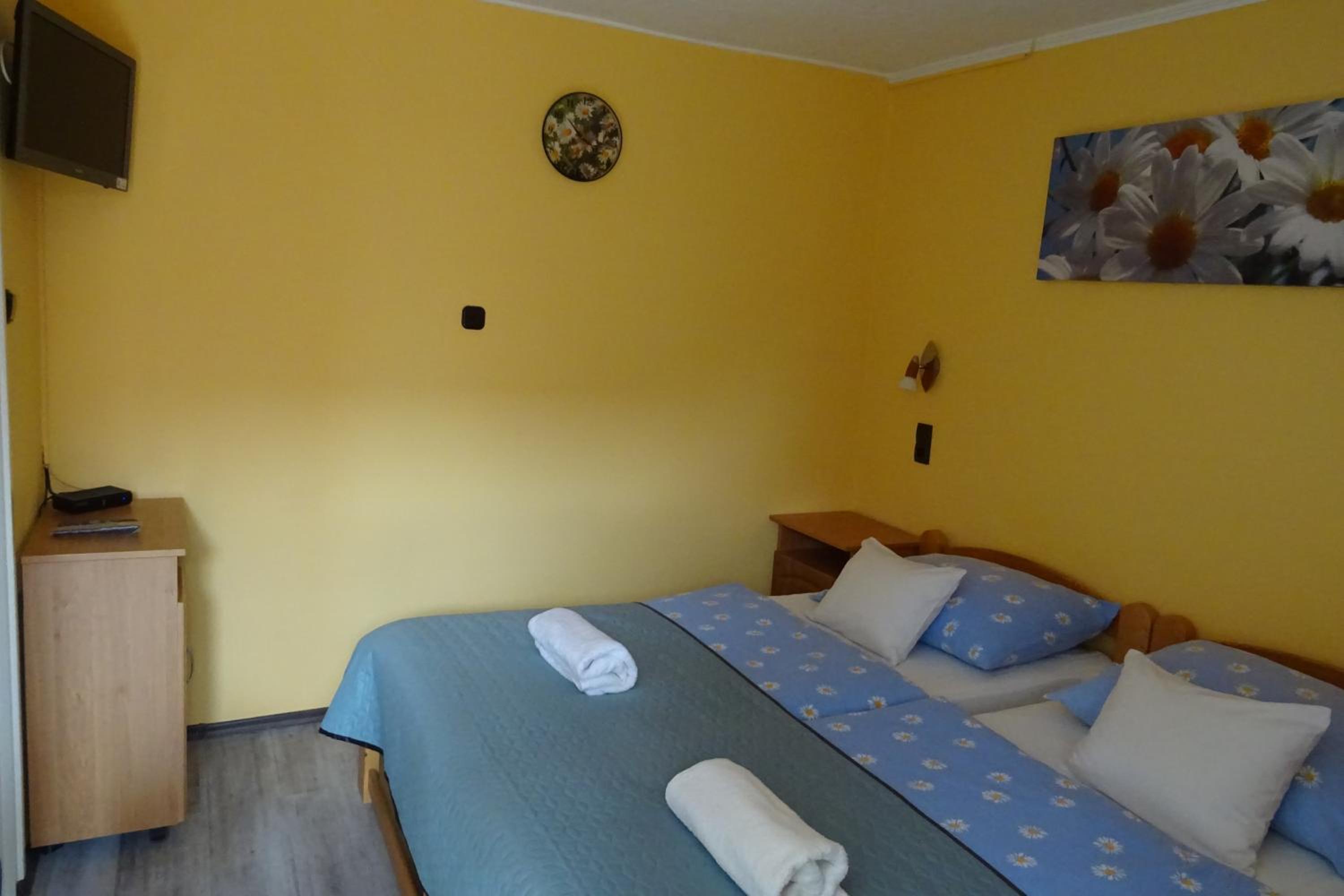 Studio Apartment with Terrace photo 3
