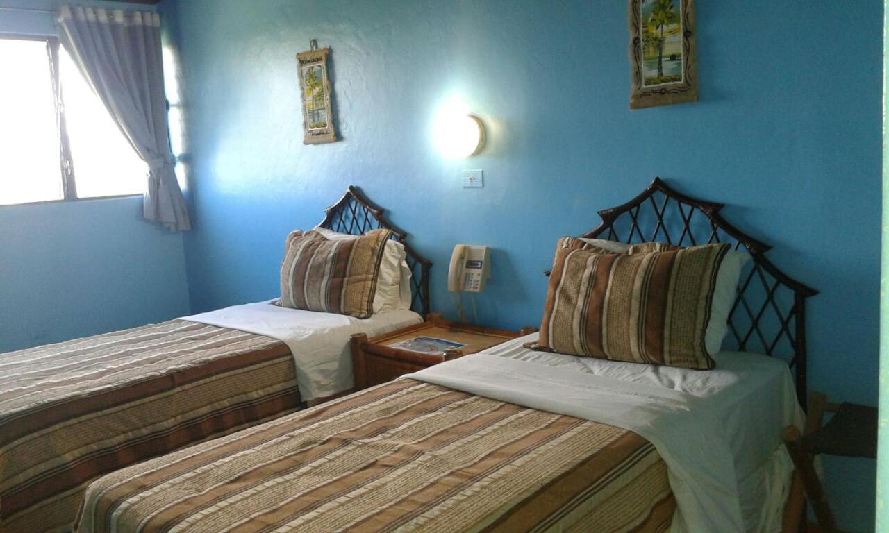 Double or Twin Room photo 1