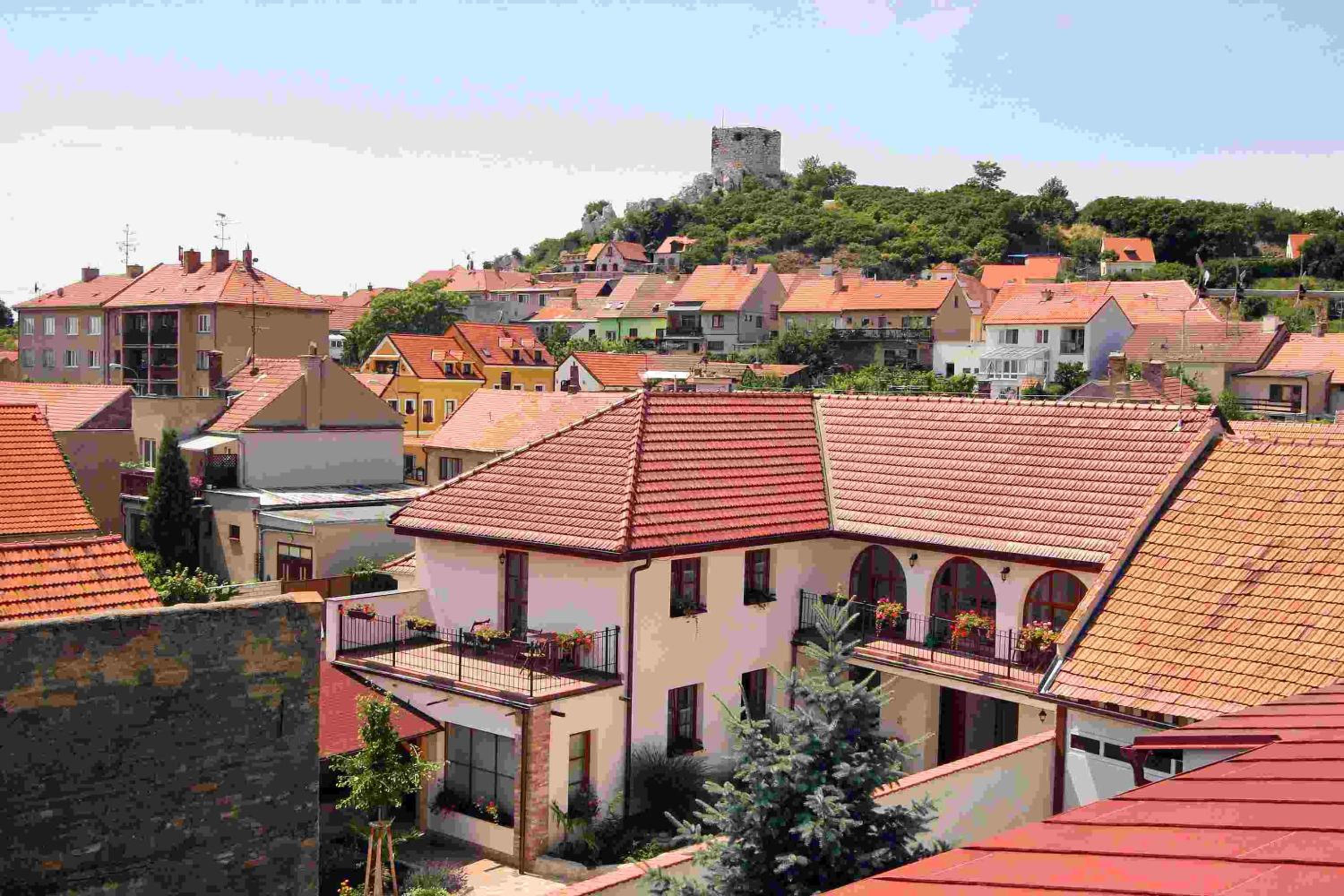 Studio with Terrace photo 3