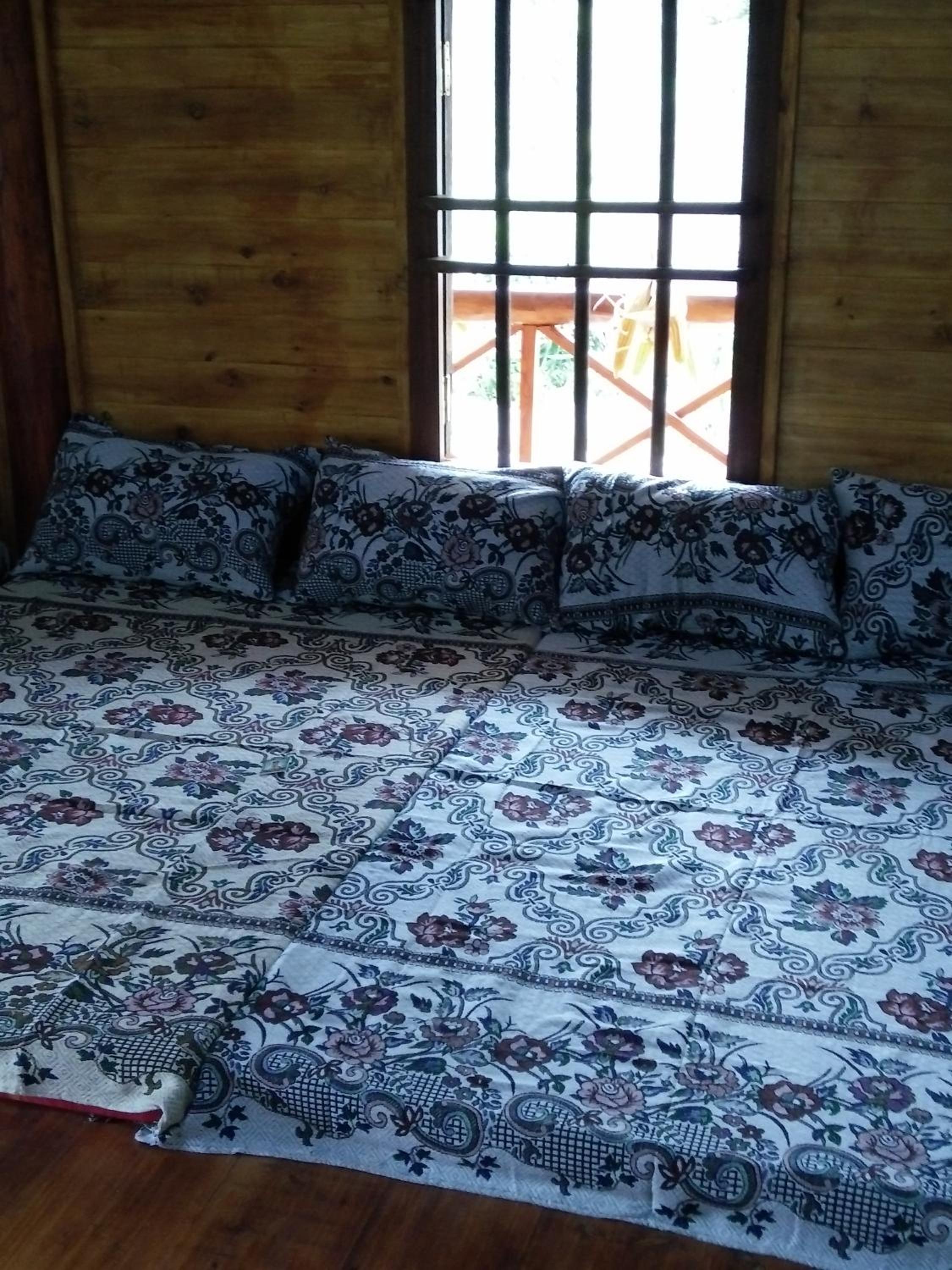 Single Bed in Mixed Dormitory Room photo 1
