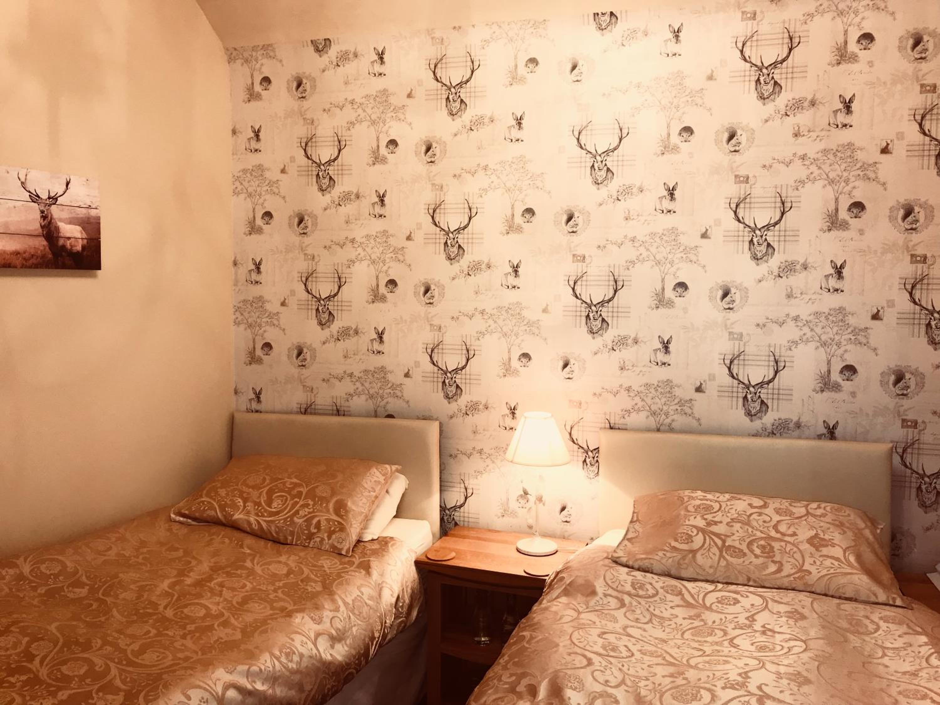Twin Room photo 1