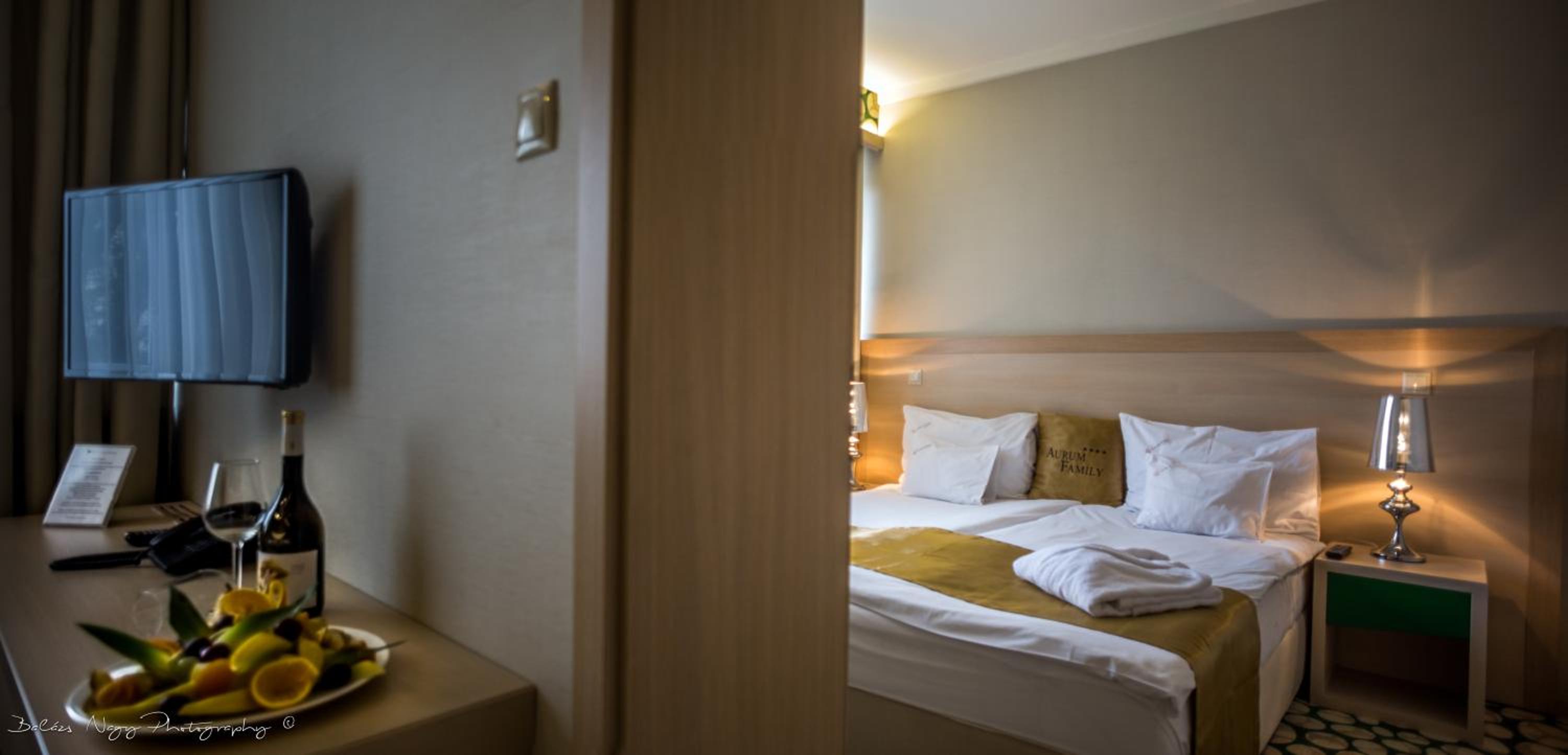 Deluxe Double Suite photo 3